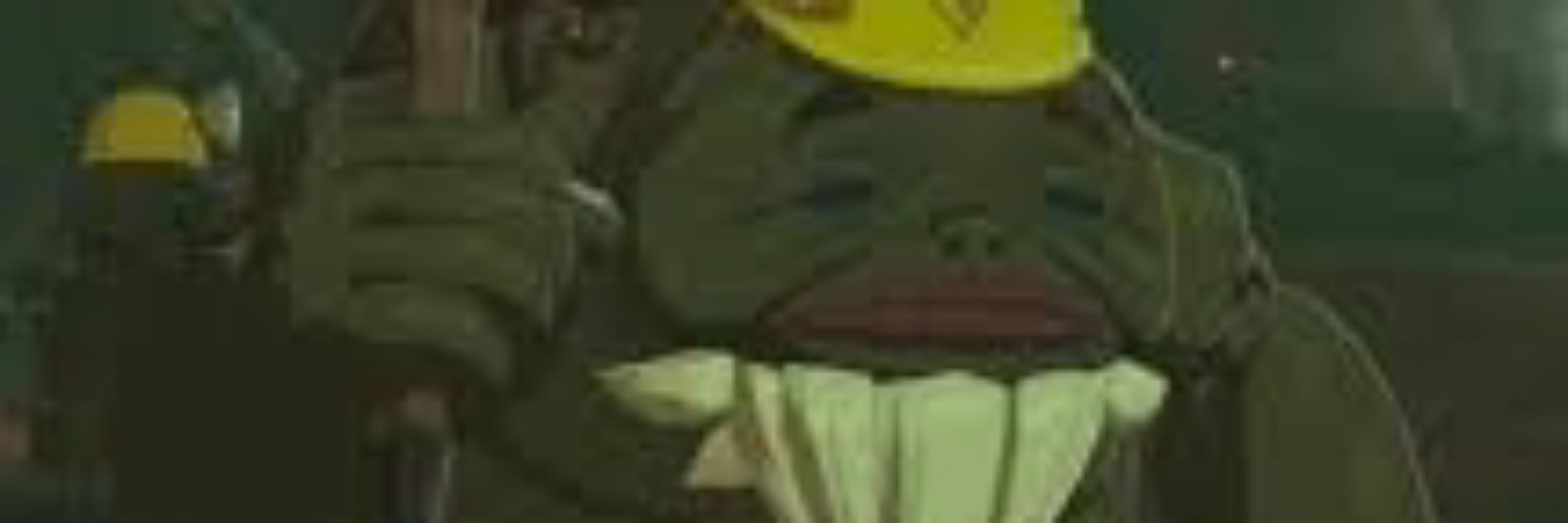 skyygoro