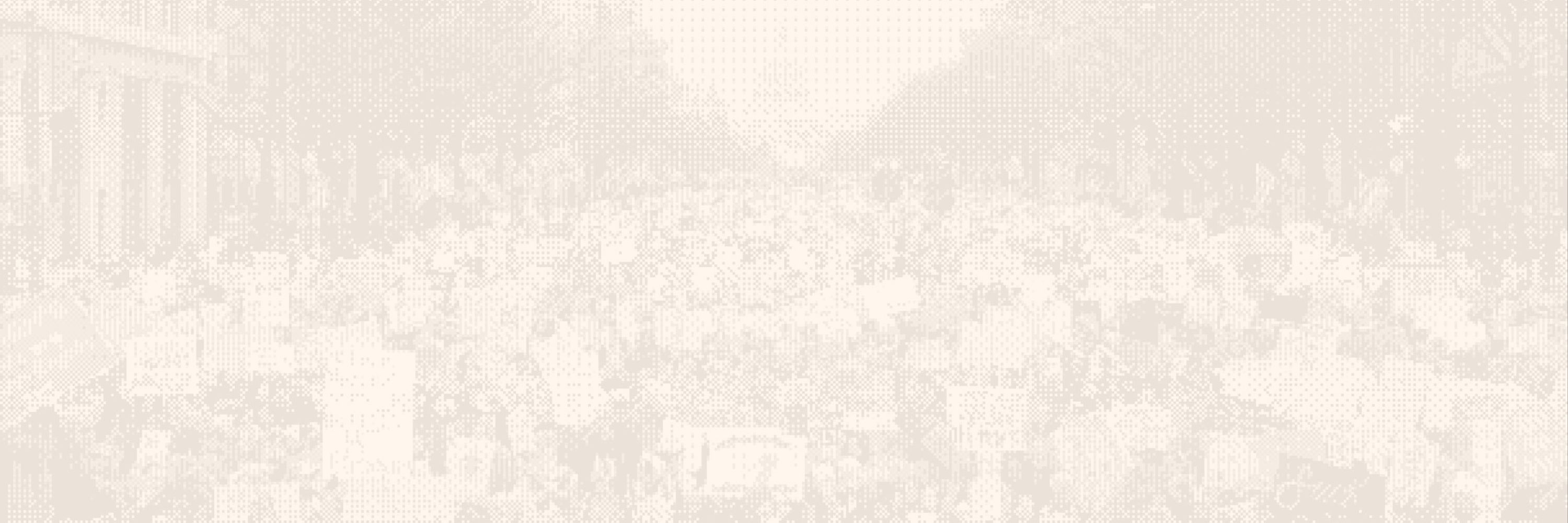 Parti des femmes