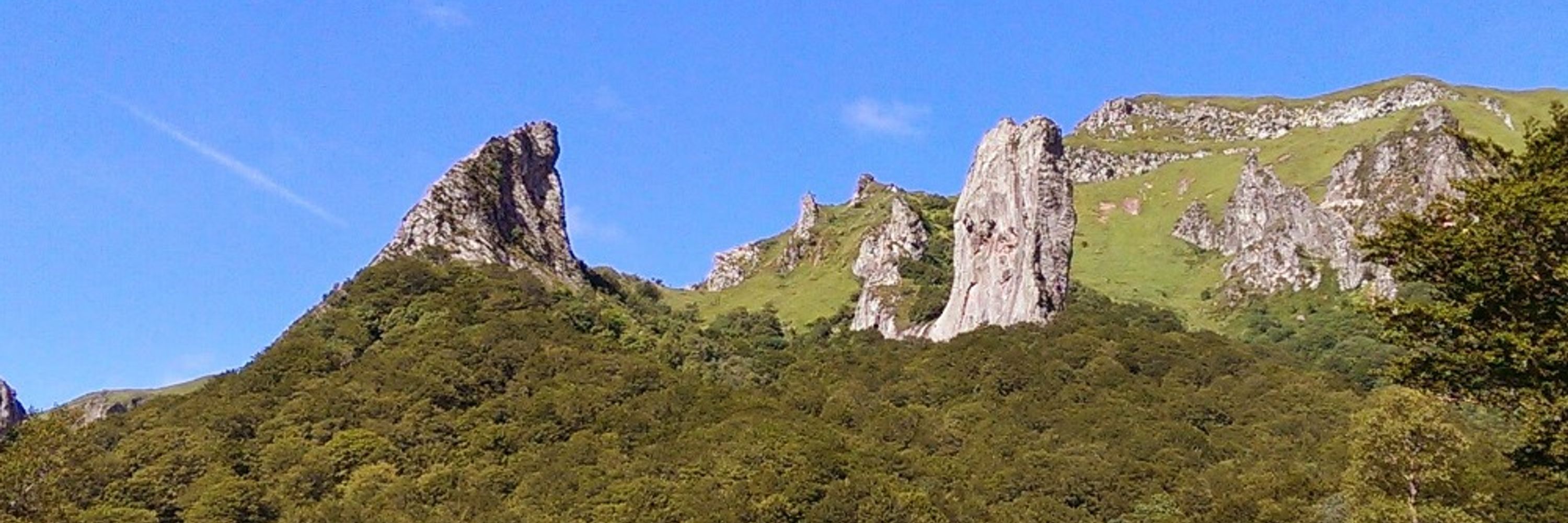 elpicolus