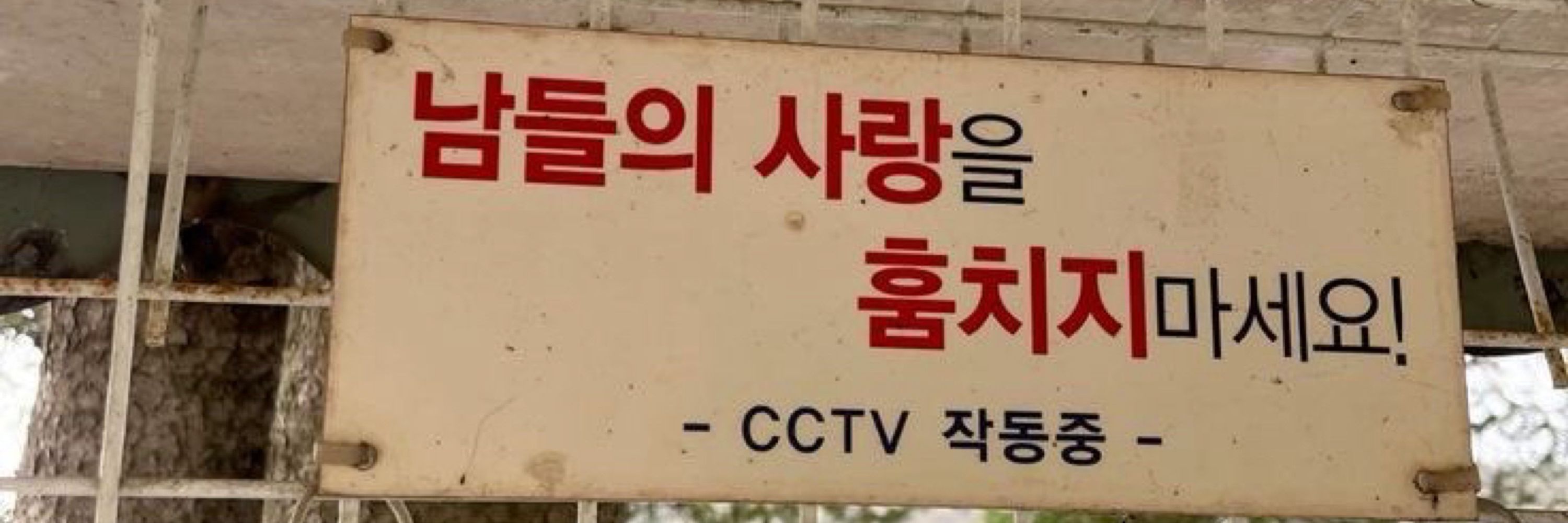 윈디