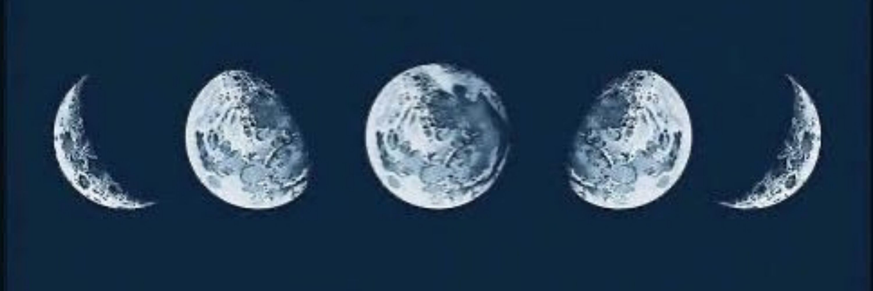 𝐿𝑎𝑢𝑟𝑦✭♪✫.・。.・゜✭
𝐿𝑖𝑙𝑦