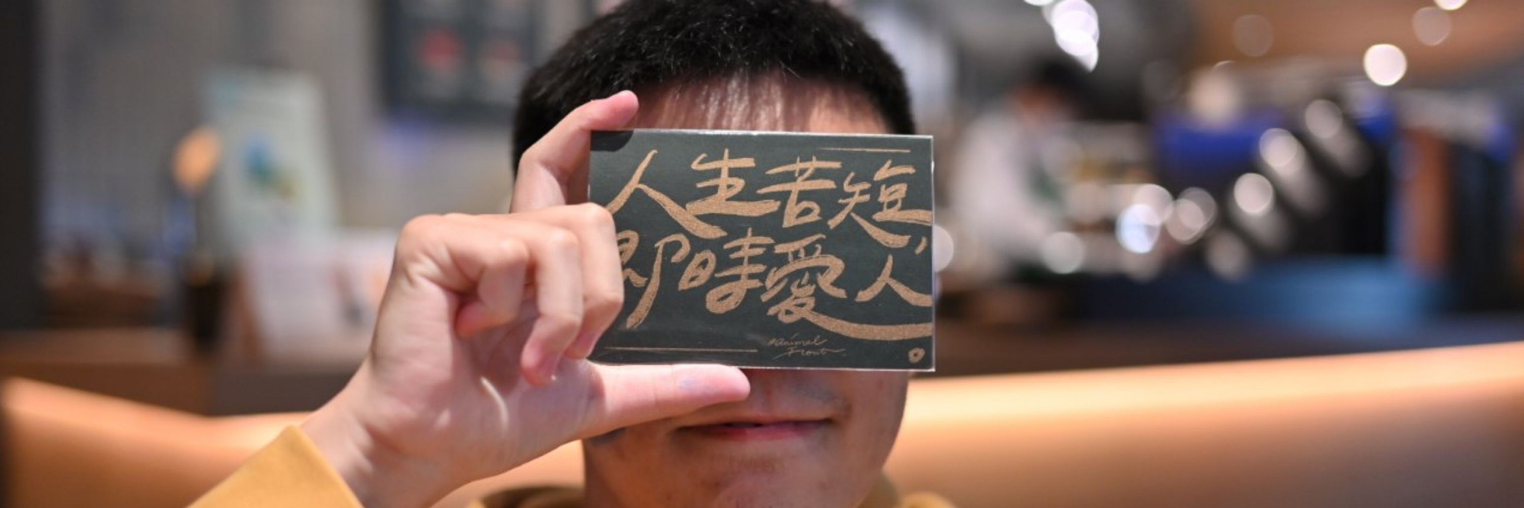 被馴服的獅子