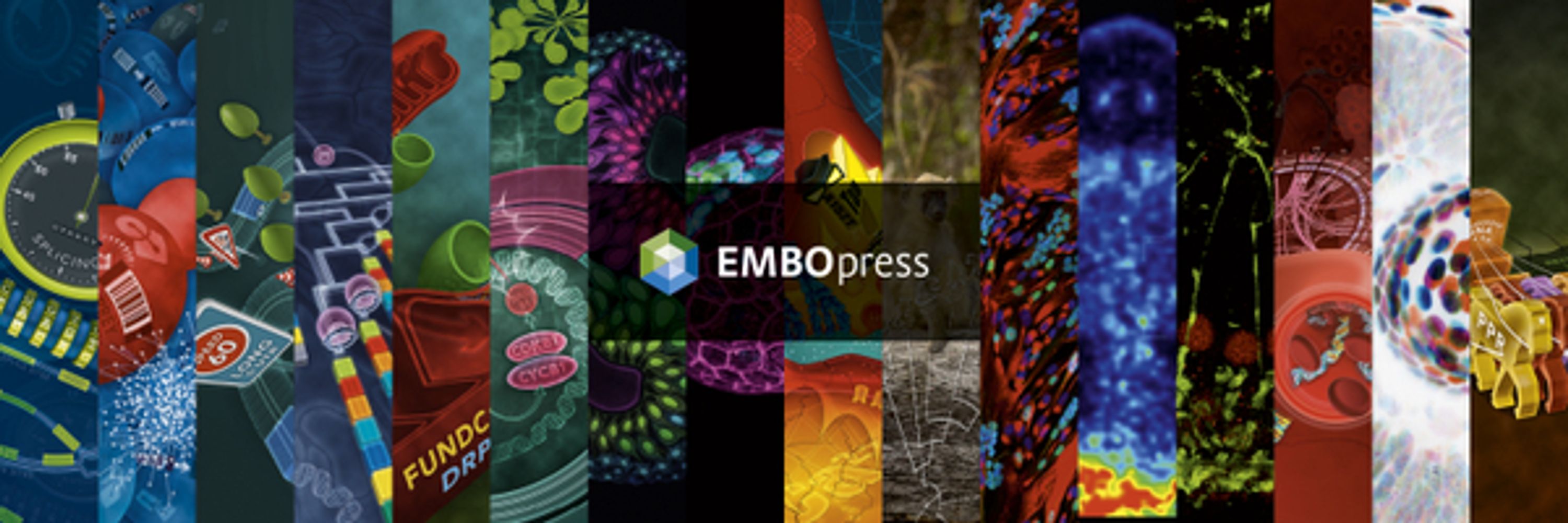 EMBO Press