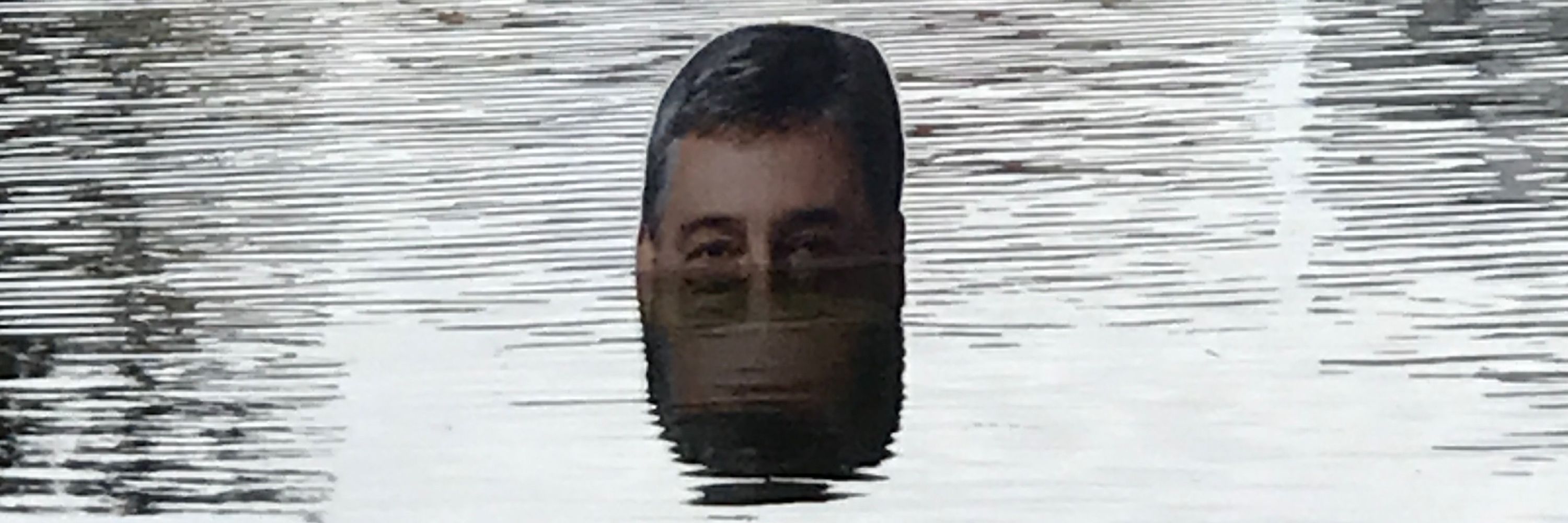 Vitelo