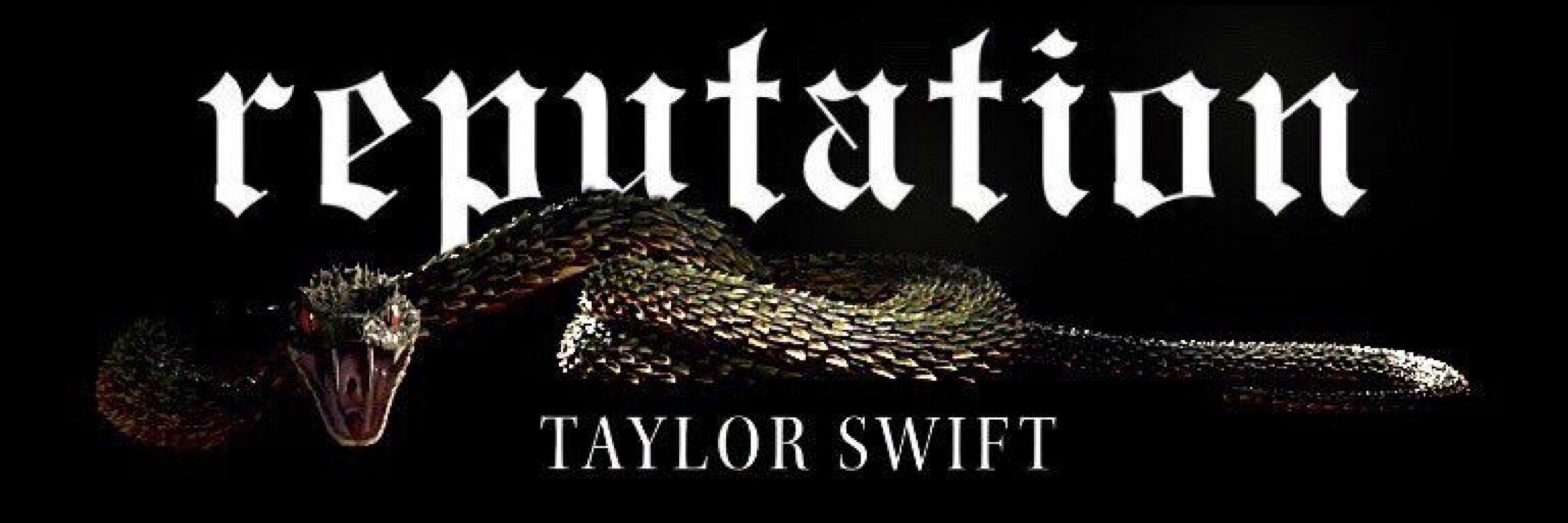 🐍 