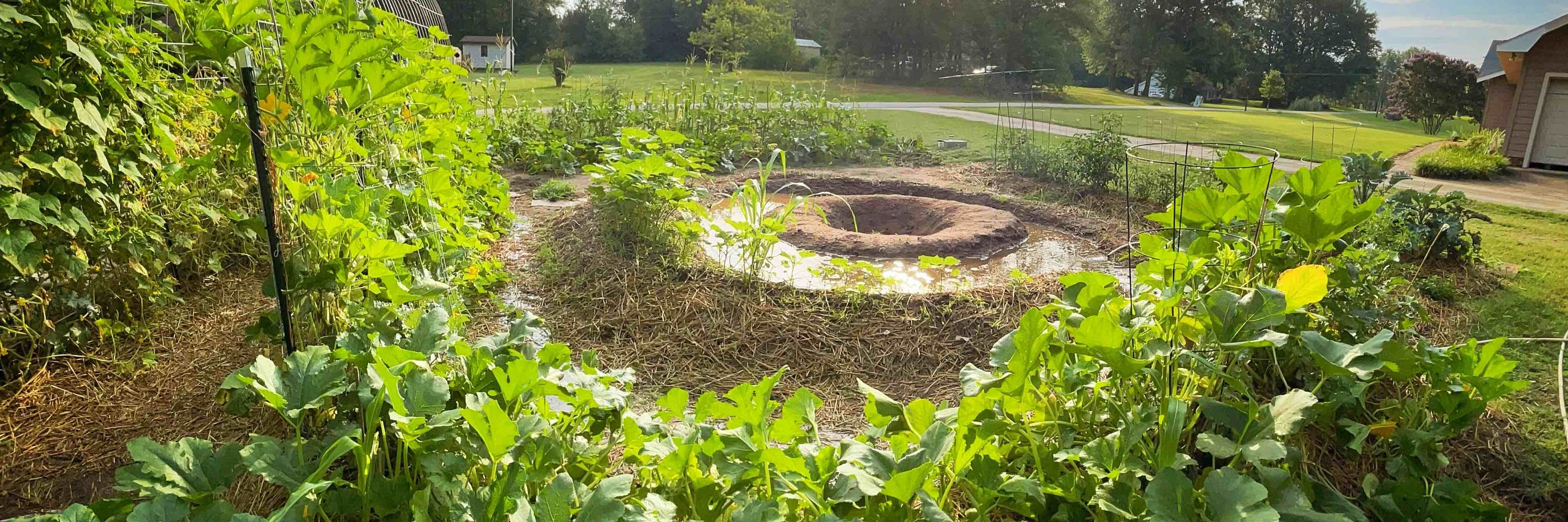 Project Garden