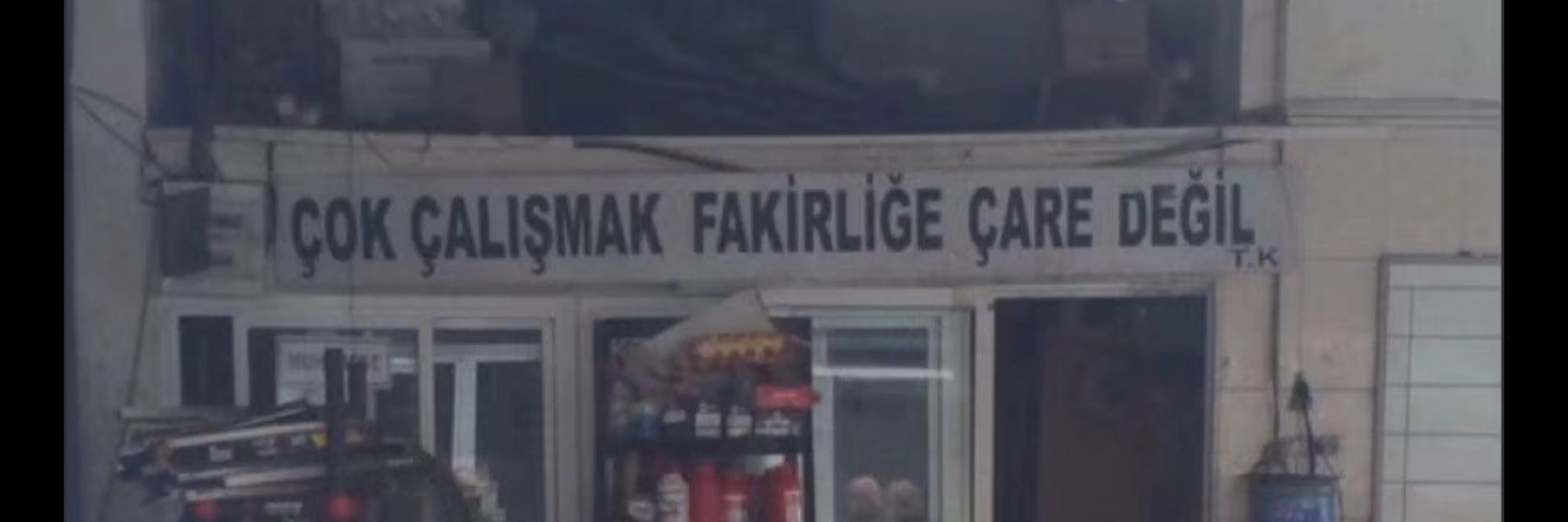 Tamay Şafak Türüdü