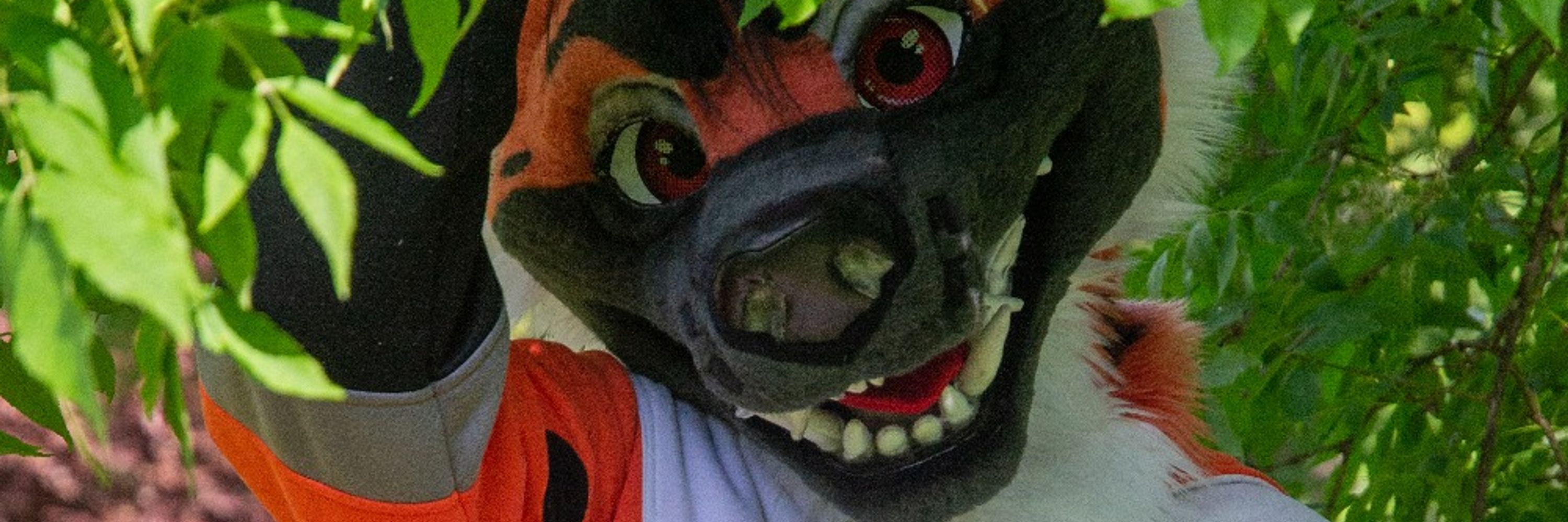 Safrax the Hyena