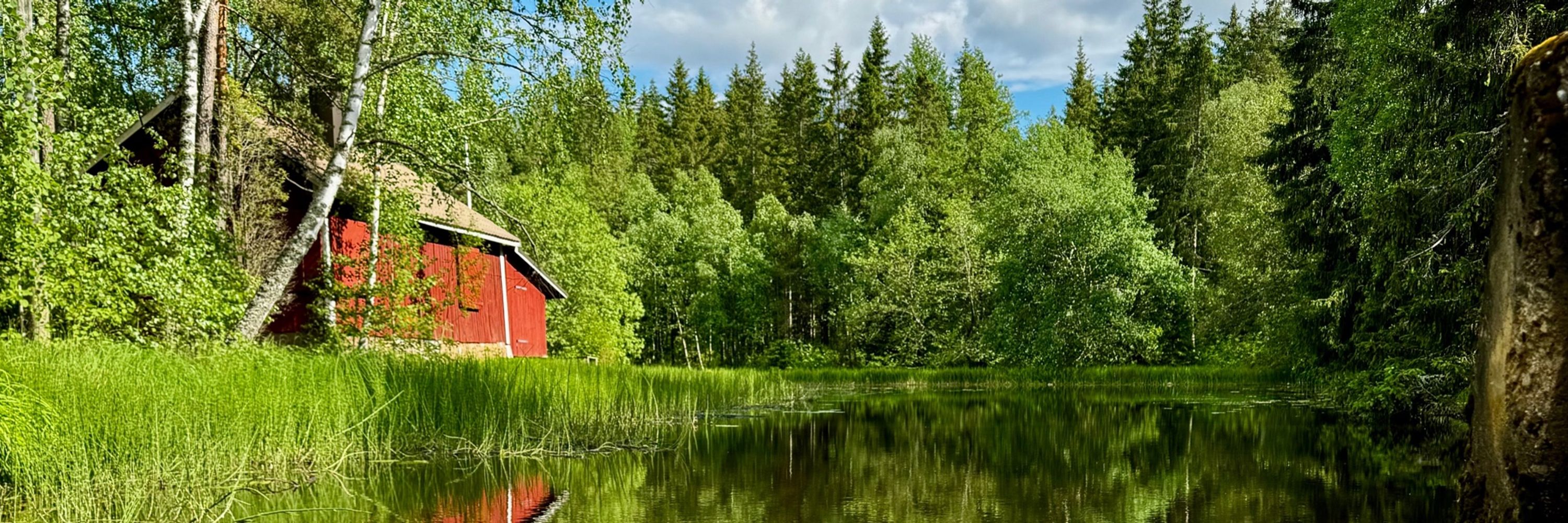 Lotta Lappi