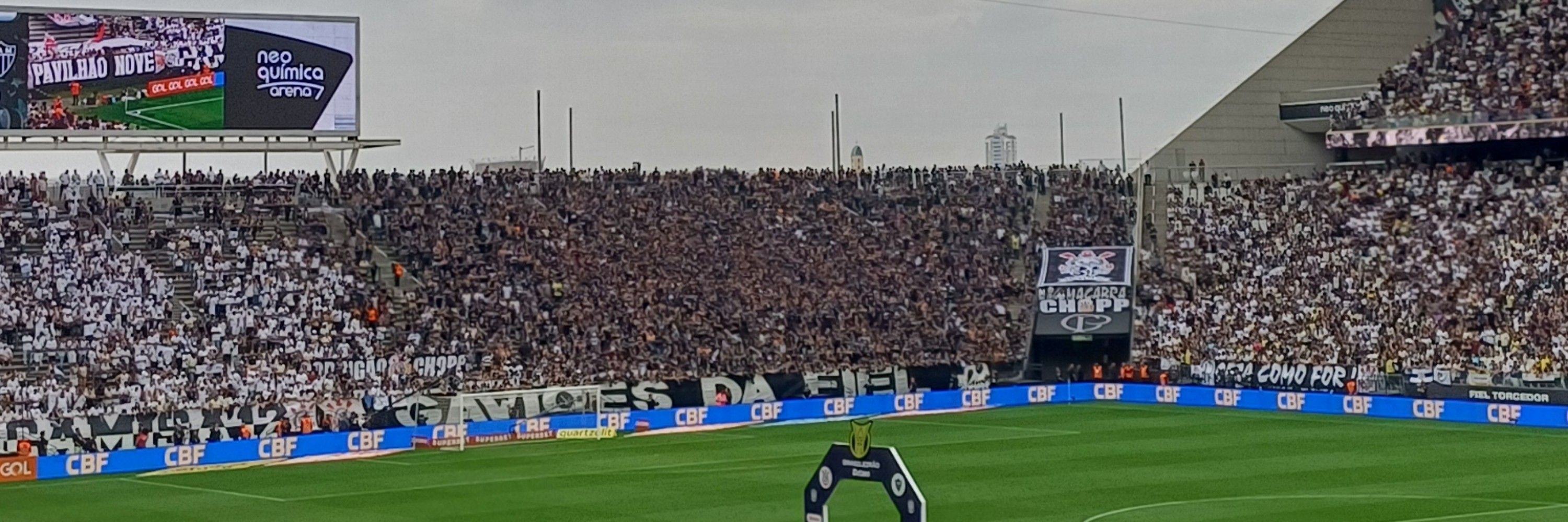 Xulinha