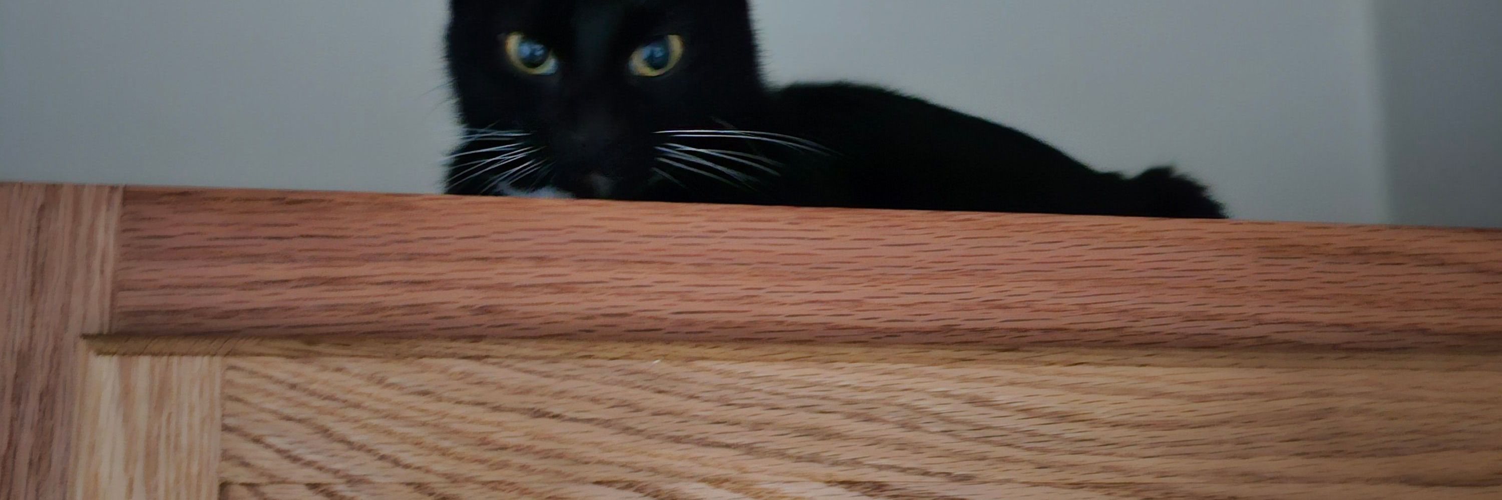 Viktor