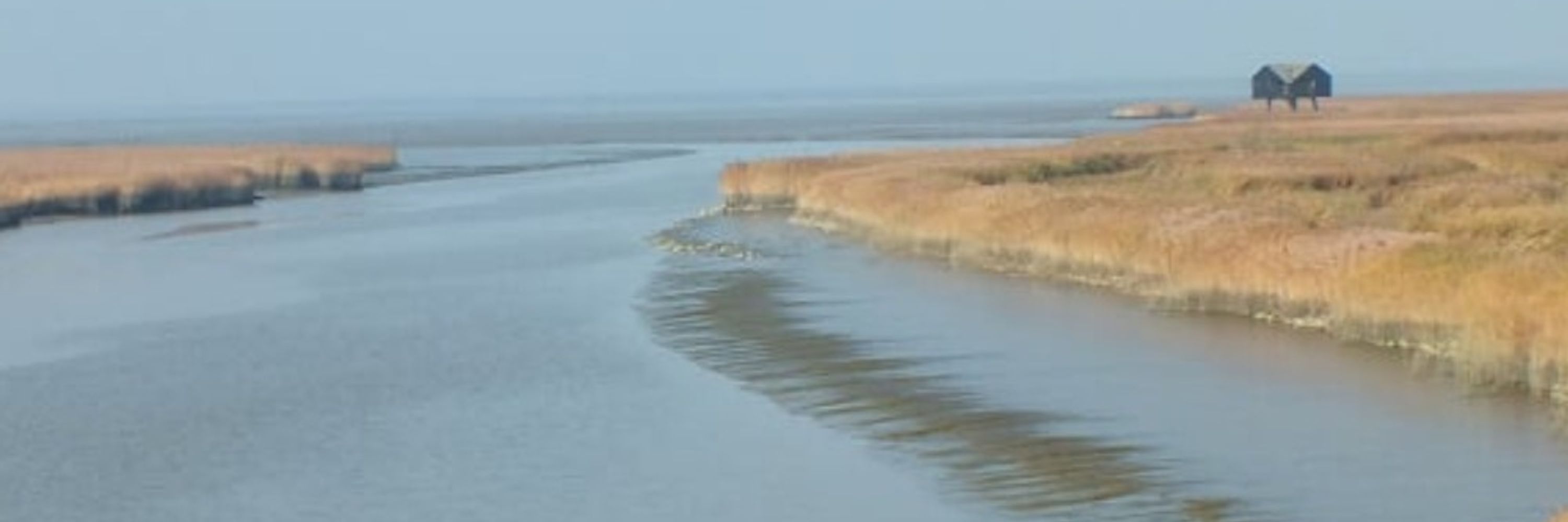WiebkemagMeer