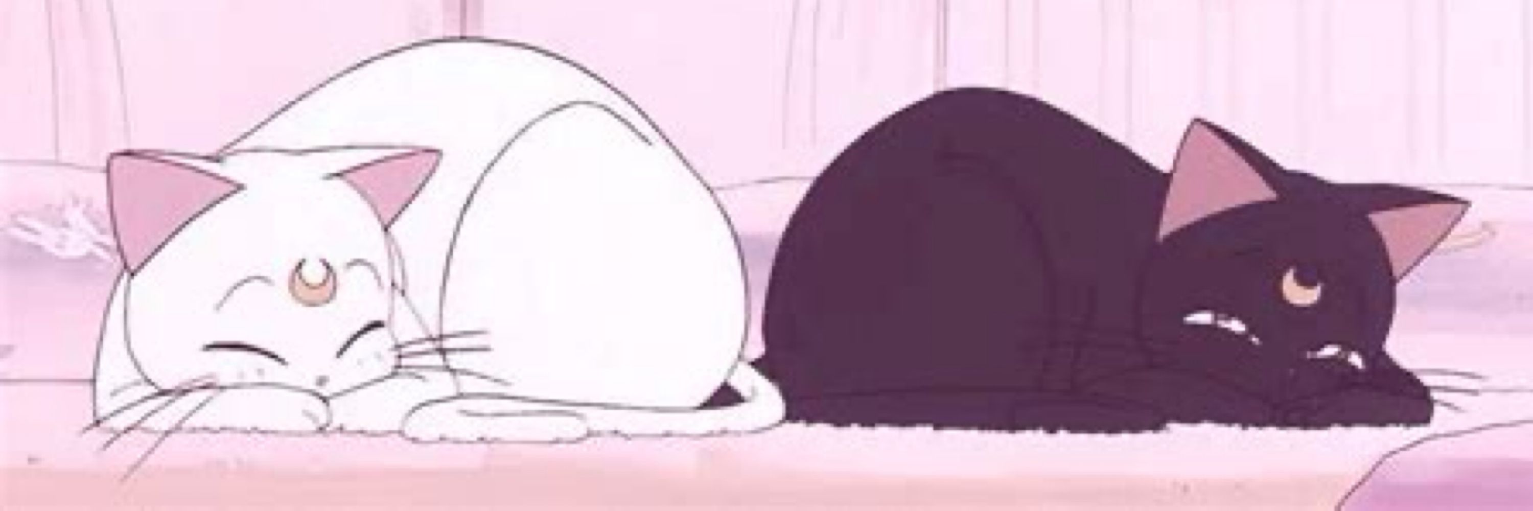 Ω kitty cat Ω