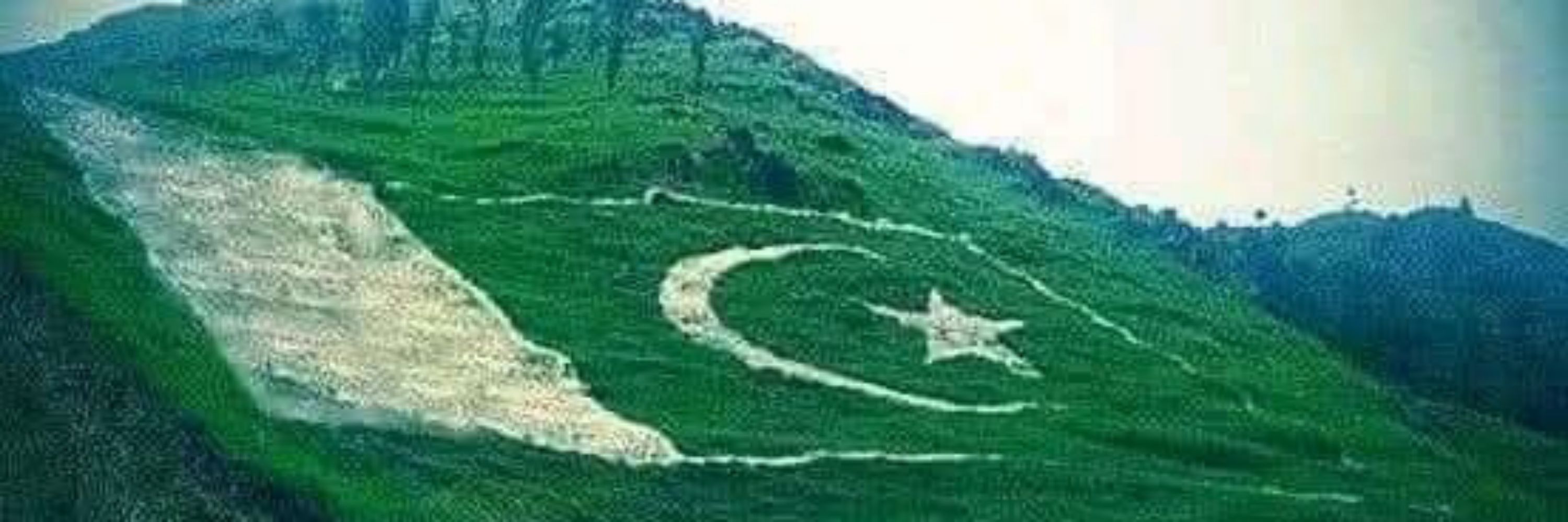 🇵🇰 Hisham 🇵🇰