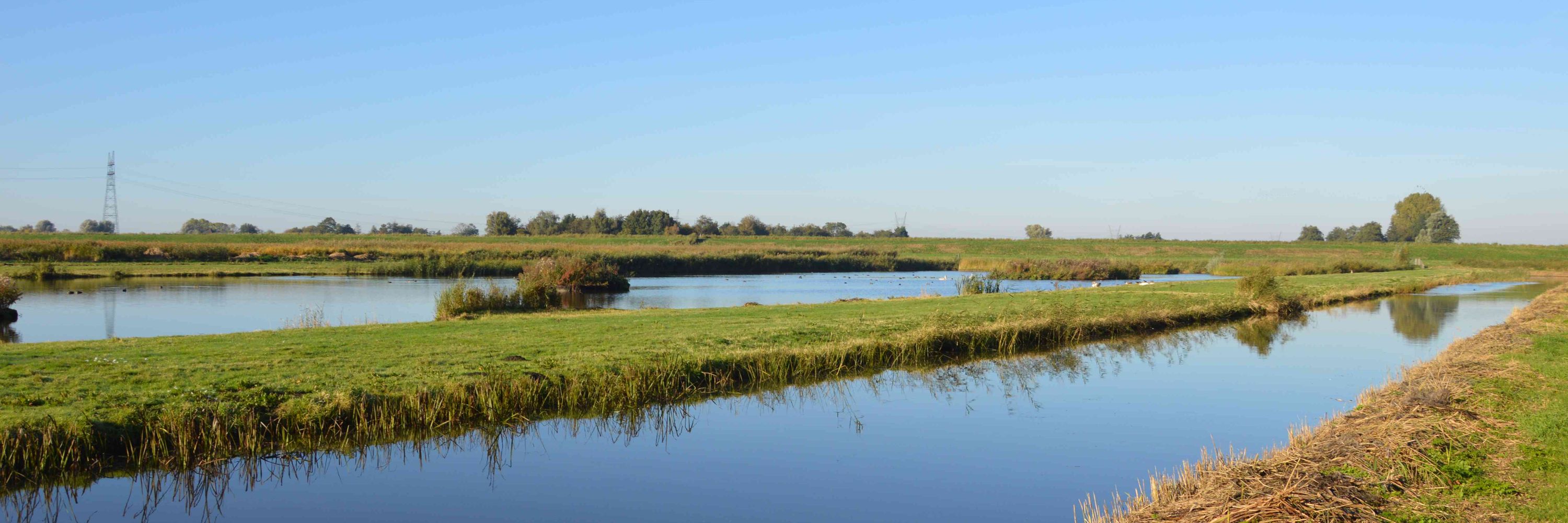 GroenLinks Purmerend-Beemster