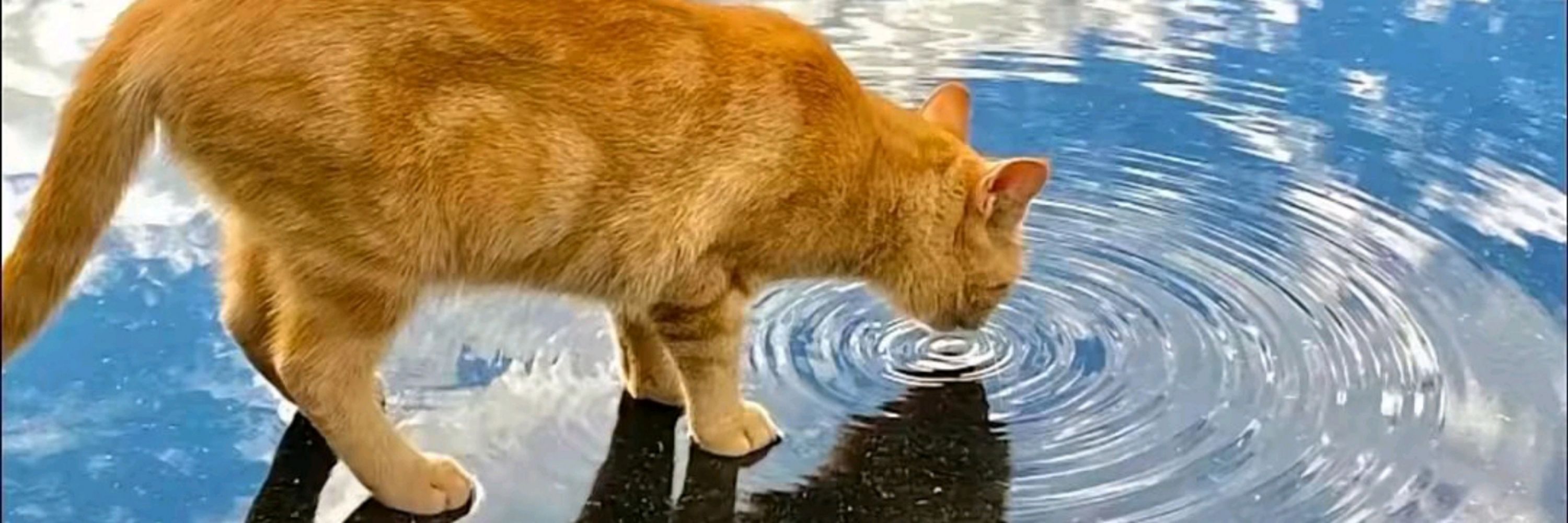 北墨