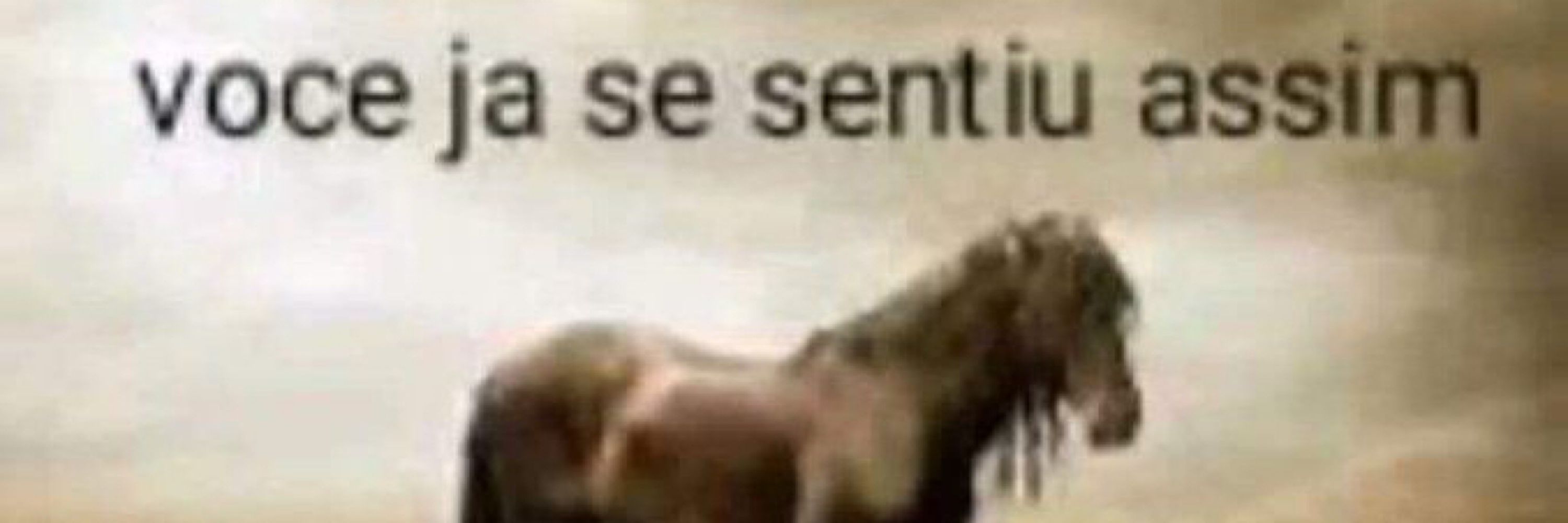 Lucas