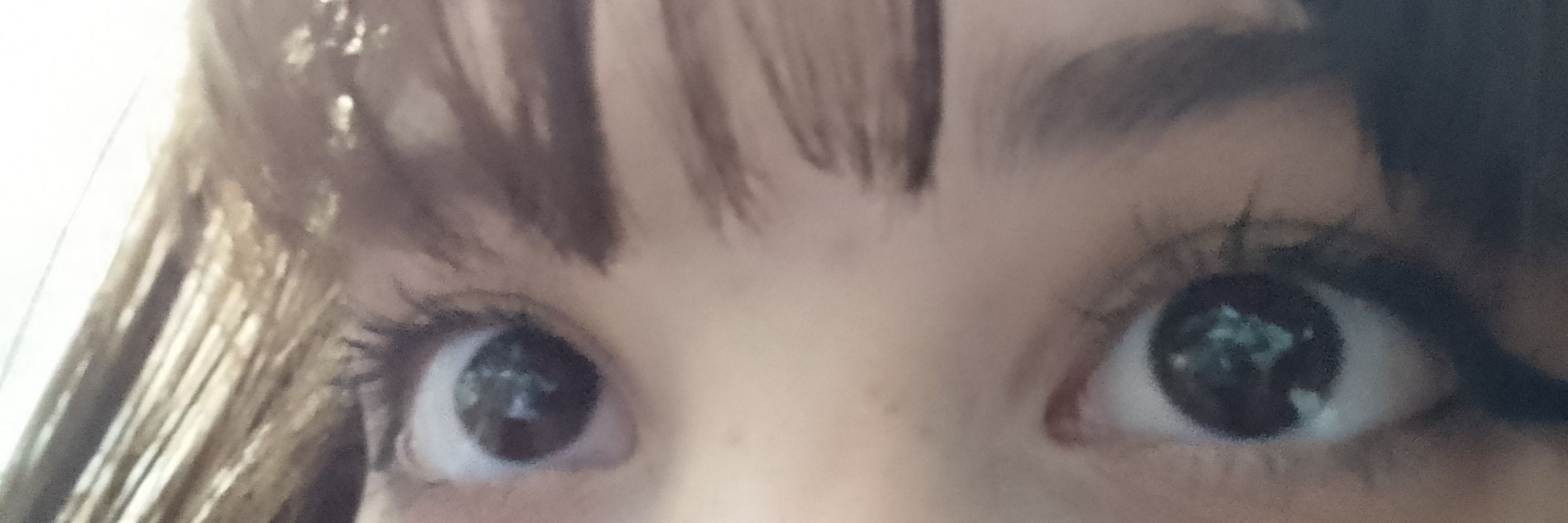 geleia🐇