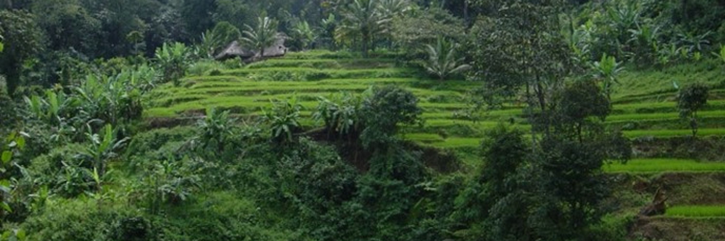 Gubbi Labs
