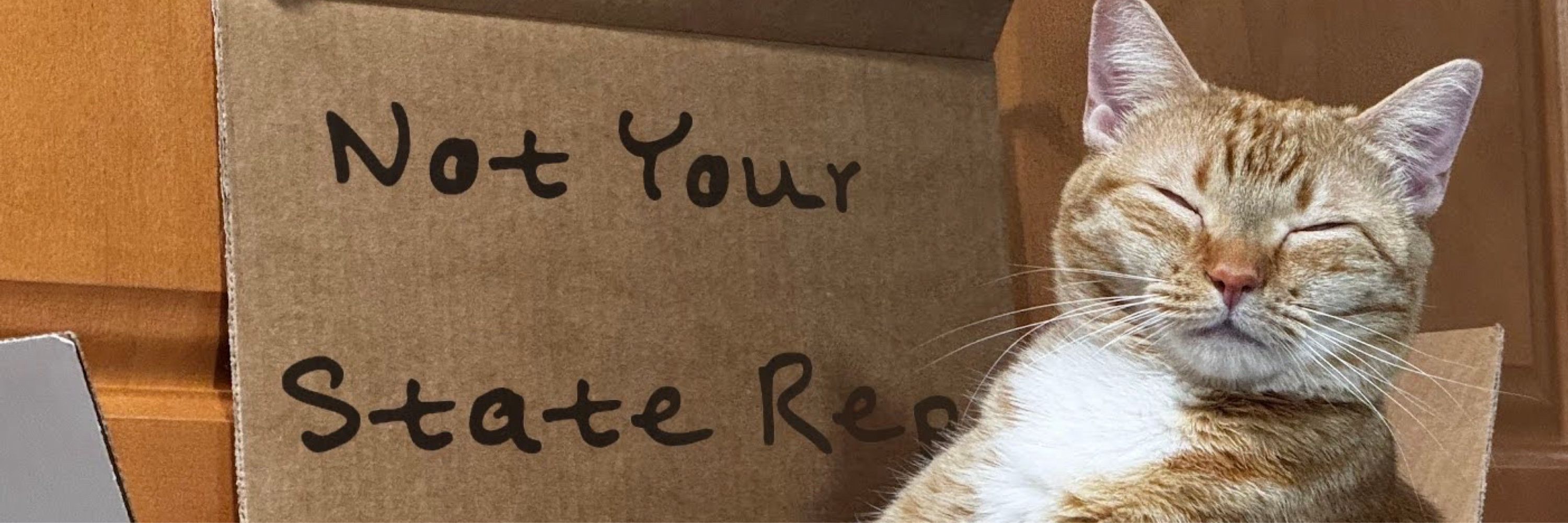 Not Your State Rep