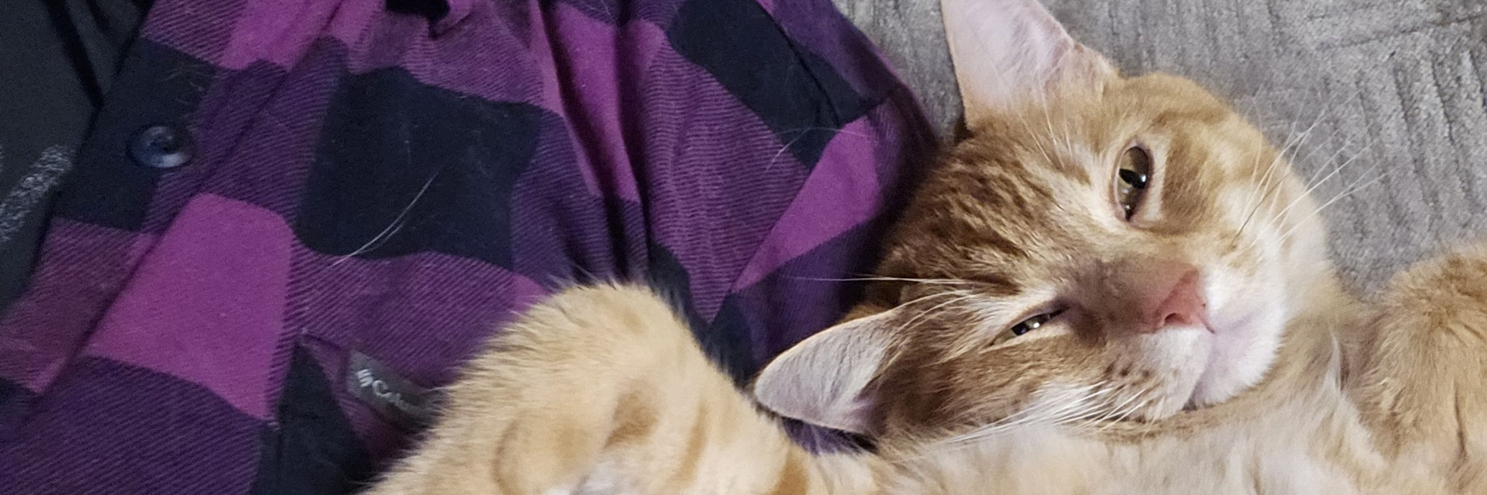 Derpy McFluffypants