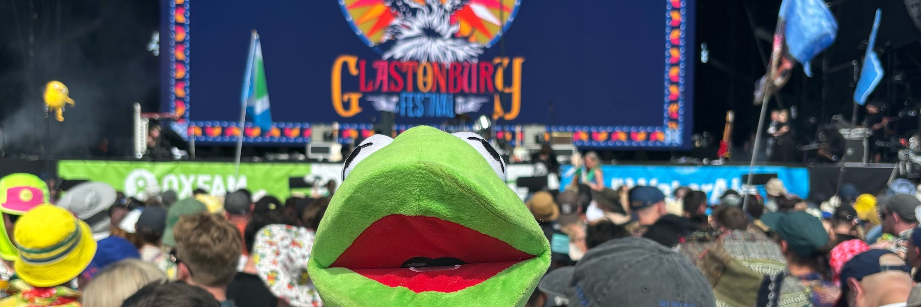 Glasto Kermit