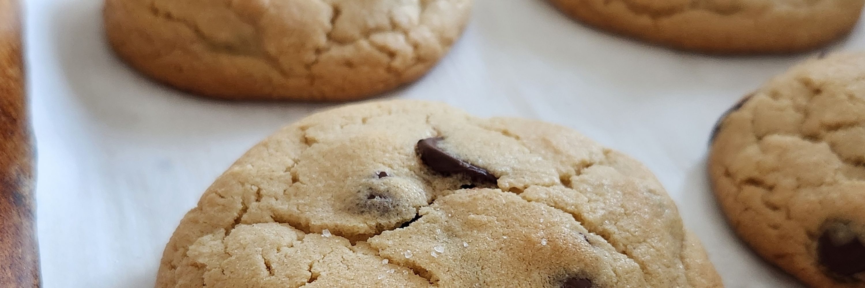 Jazzy 🍪✨️