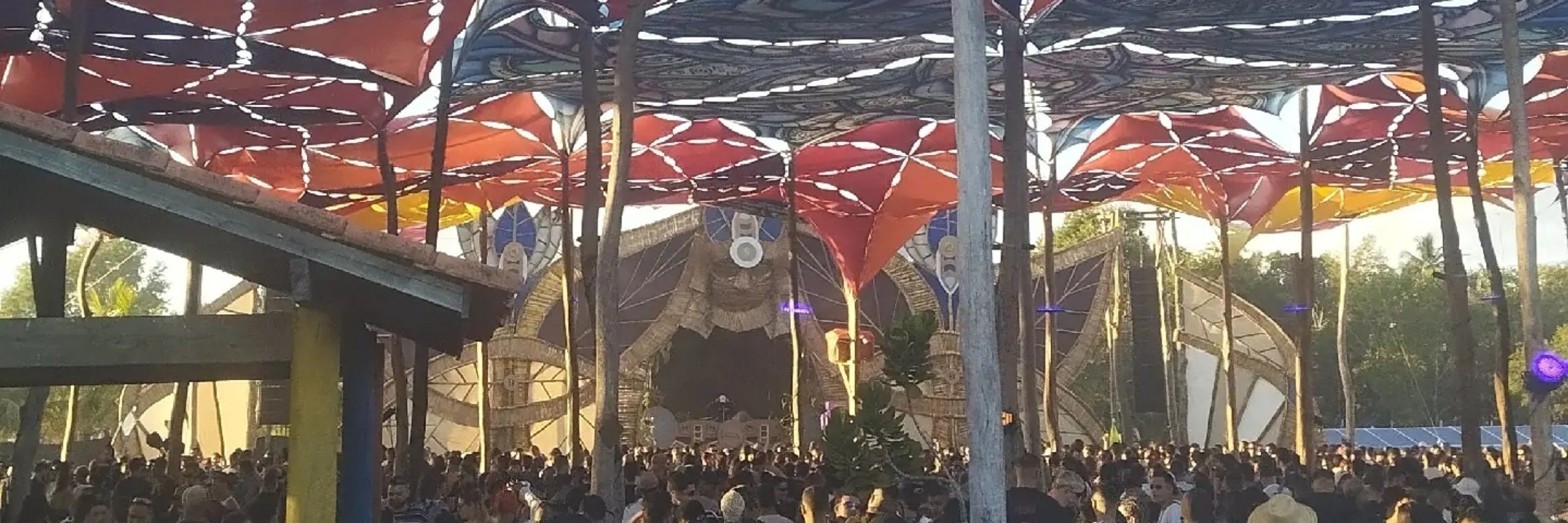 Coruja 