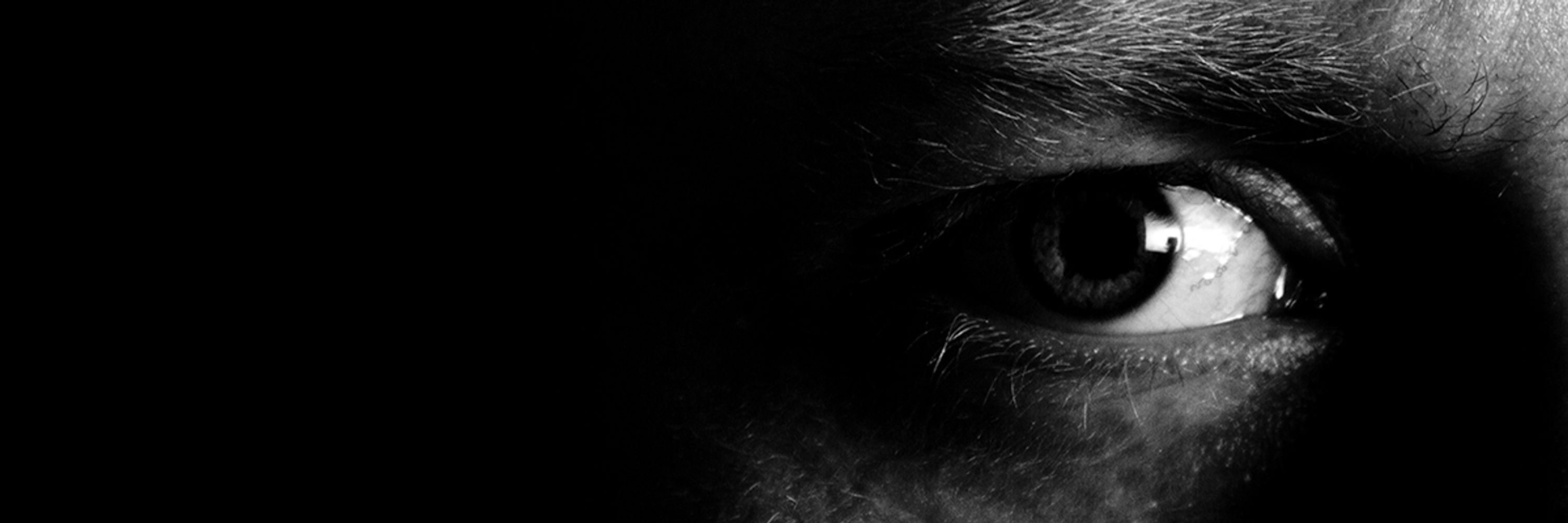 The Camera Monkey