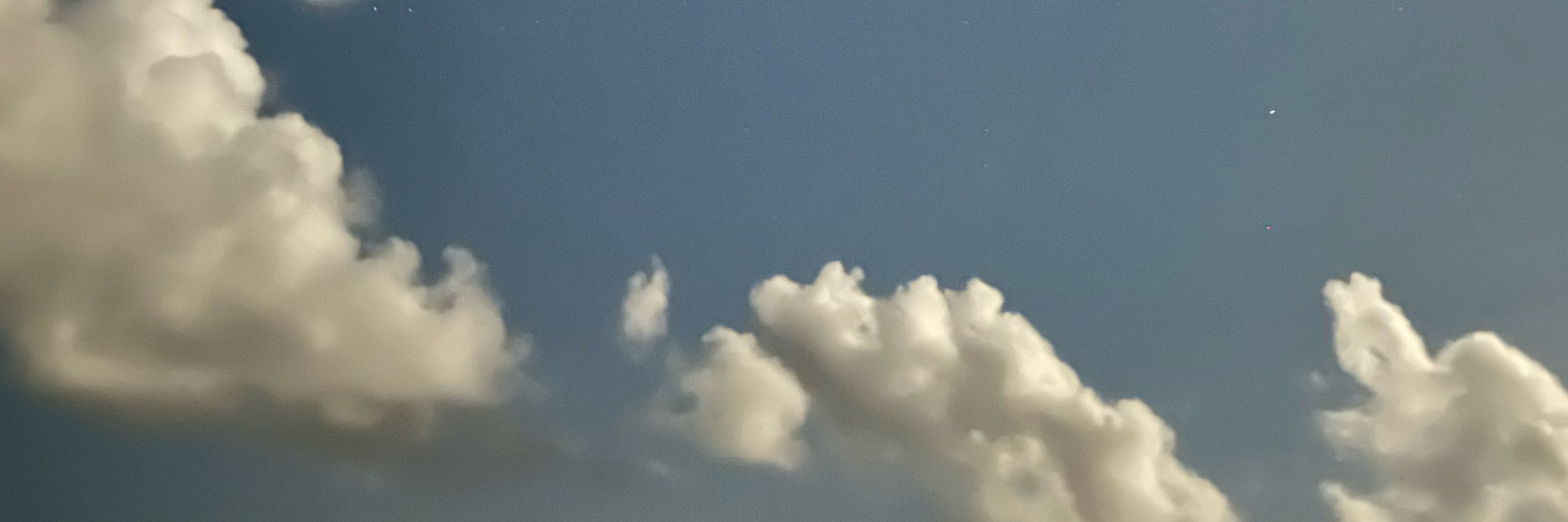 みく🖋