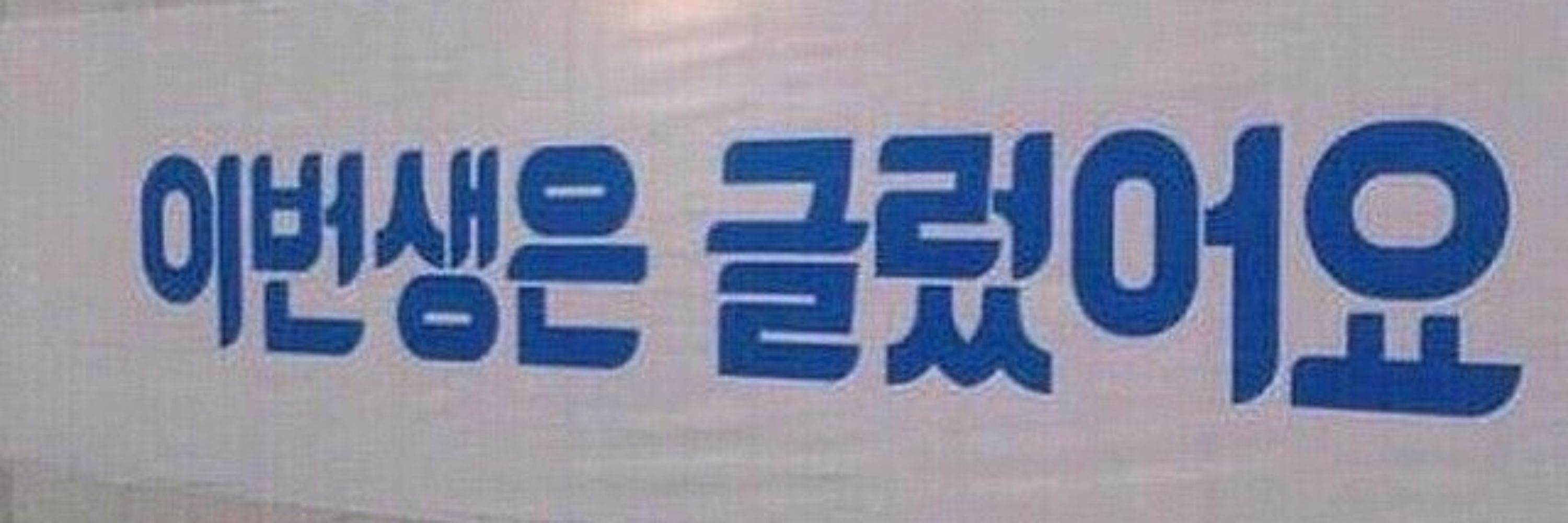 김티벳🔒