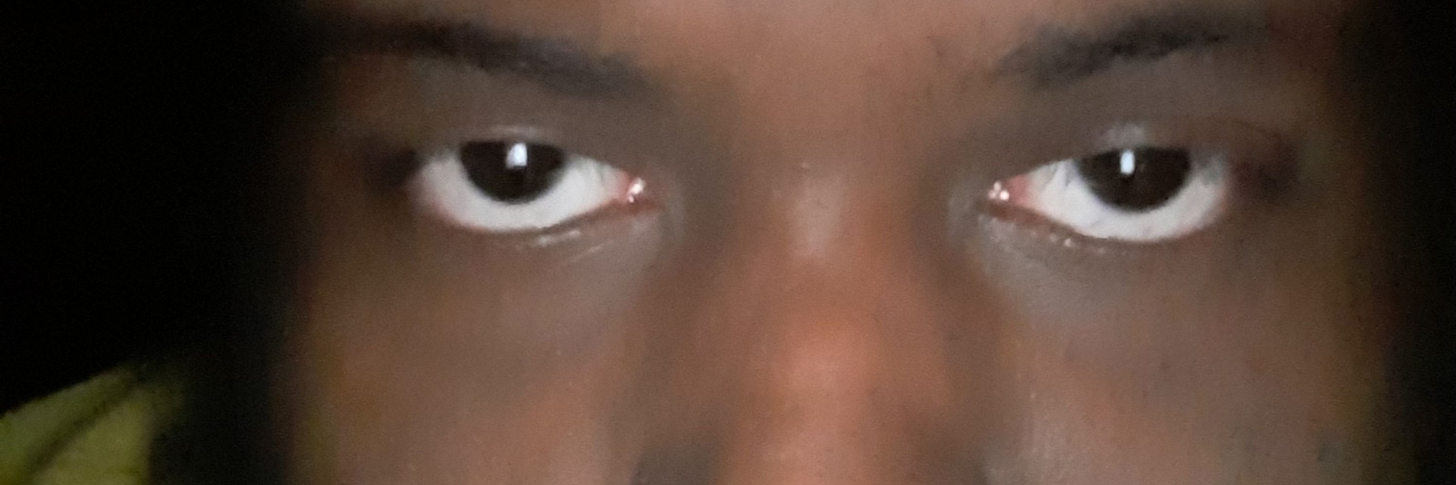Zion Fury