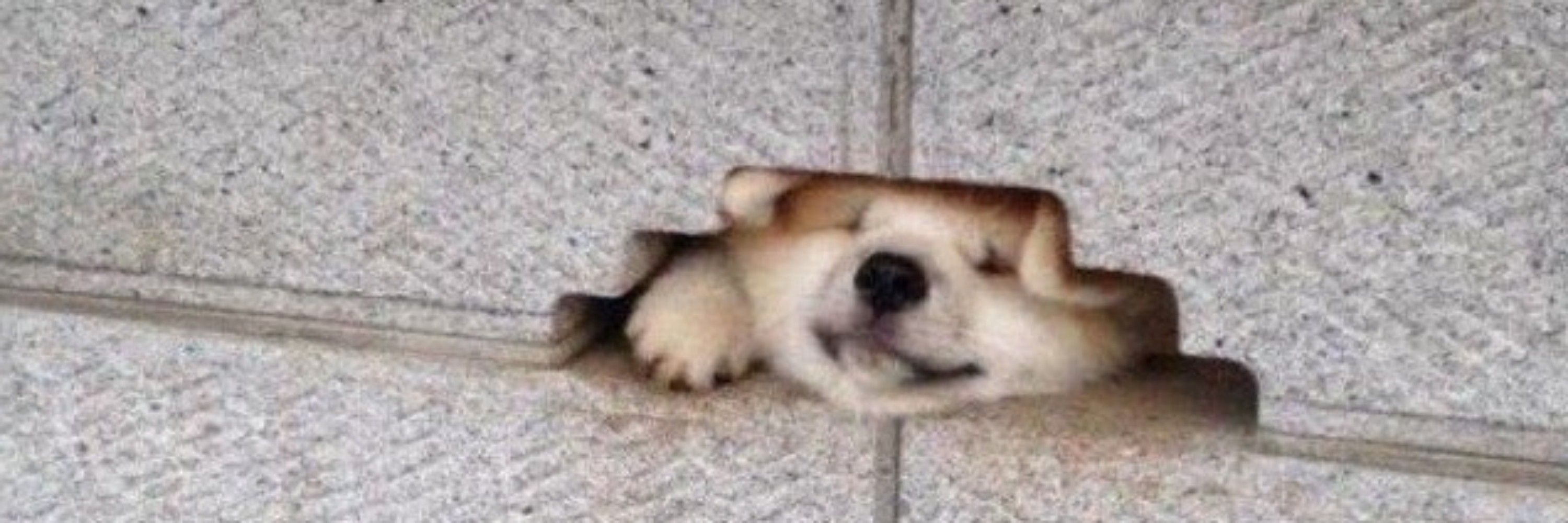 Schnuckiputz