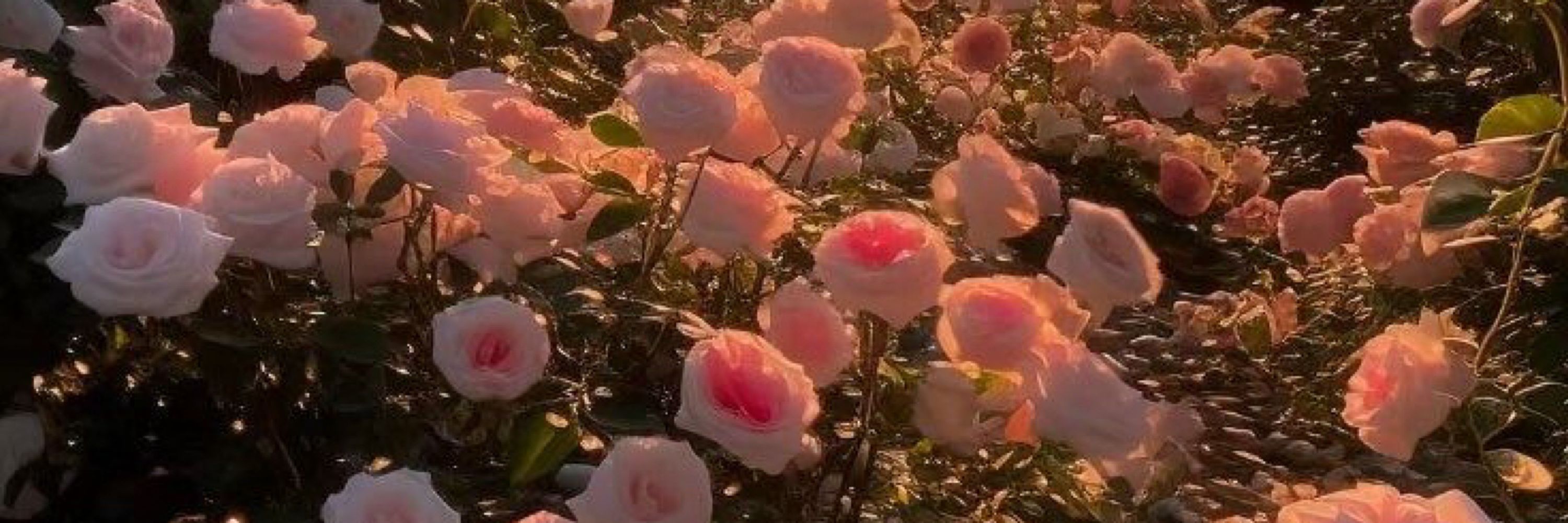 ❦えす𓏸𓈒𓂃𓂂𑁍.ﾟ