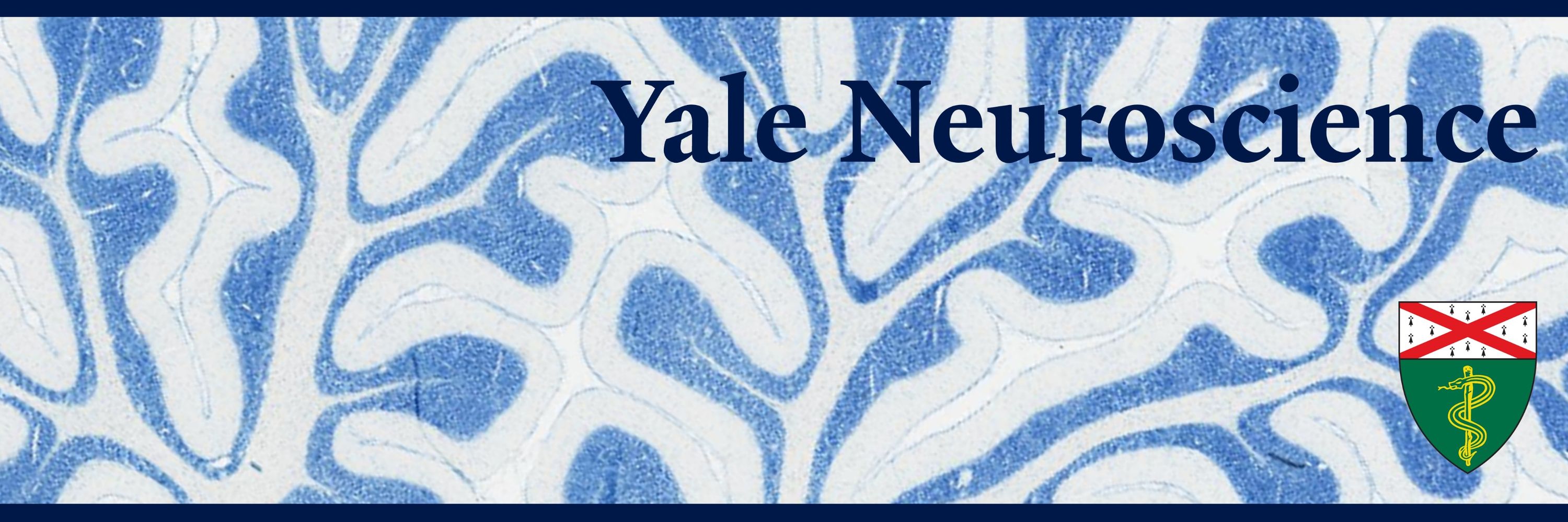 Yale Neuroscience