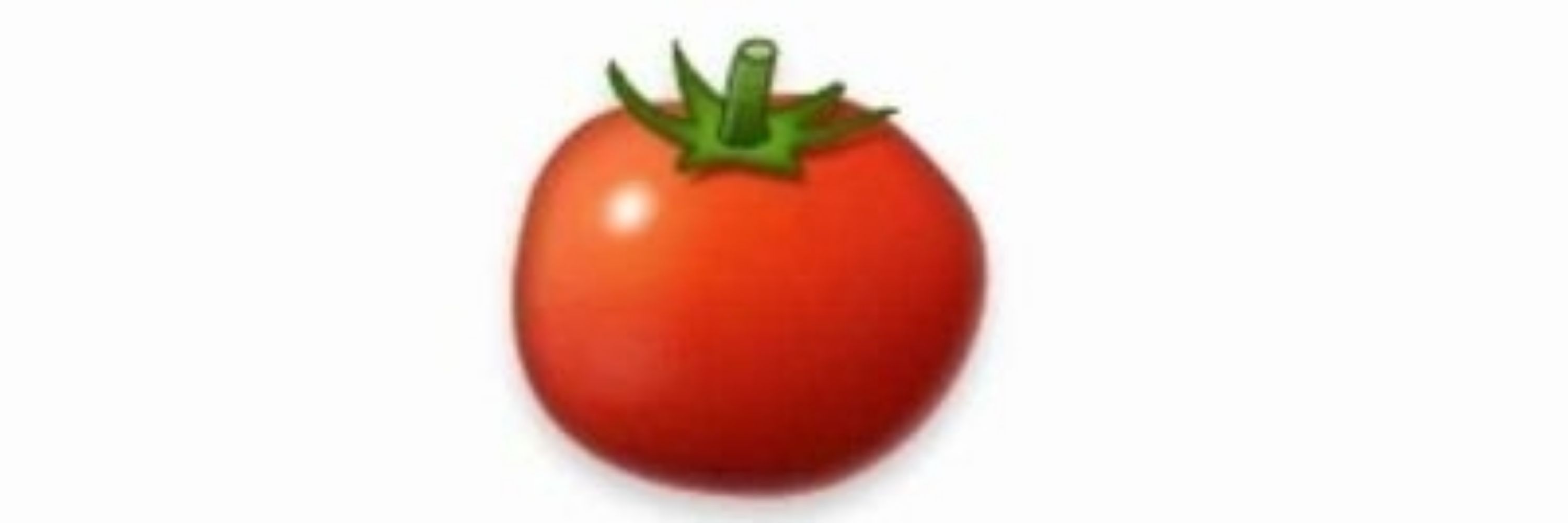 🍅🍅🍅🍅🍅🍅🍅🍅🍅🍅🍅🍅🍅🍅🍅🍅🍅🍅🍅🍅🍅🍅🍅🍅🍅🍅🍅🍅🍅🍅🍅🍅🍅🍅🍅🍅🍅🍅🍅🍅🍅🍅🍅🍅🍅🍅🍅🍅🍅🍅🍅🍅🍅🍅🍅🍅🍅🍅🍅🍅🍅🍅🍅🍅