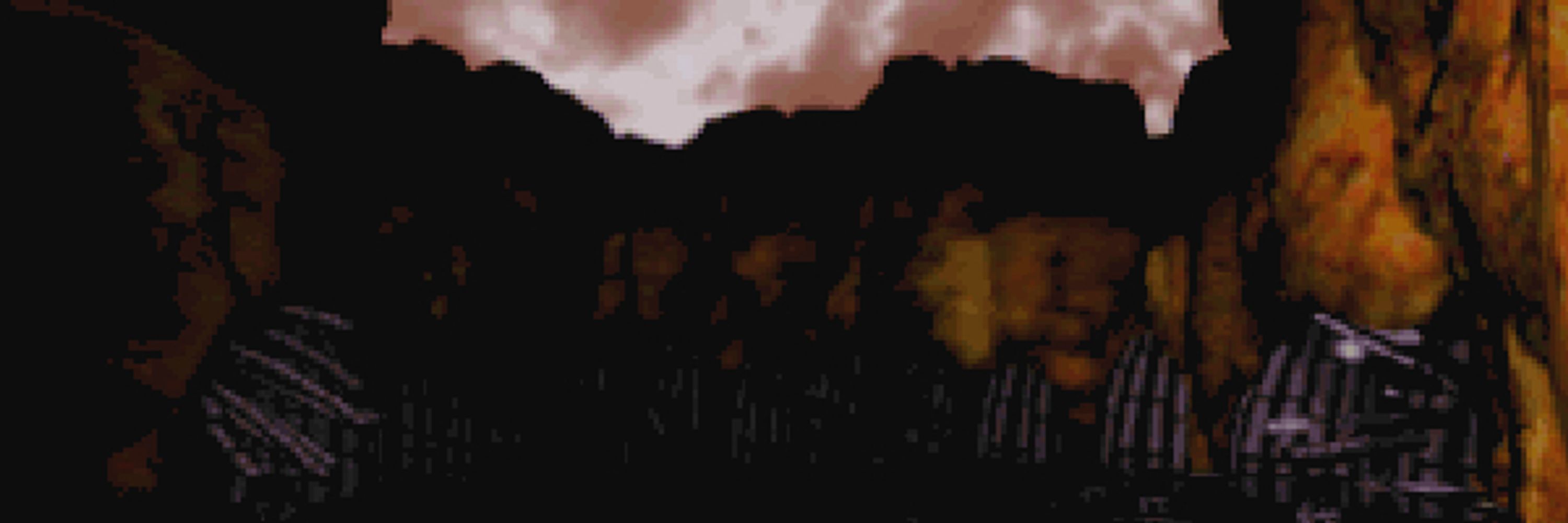 ✦ 𝐙𝐄𝐑𝐎