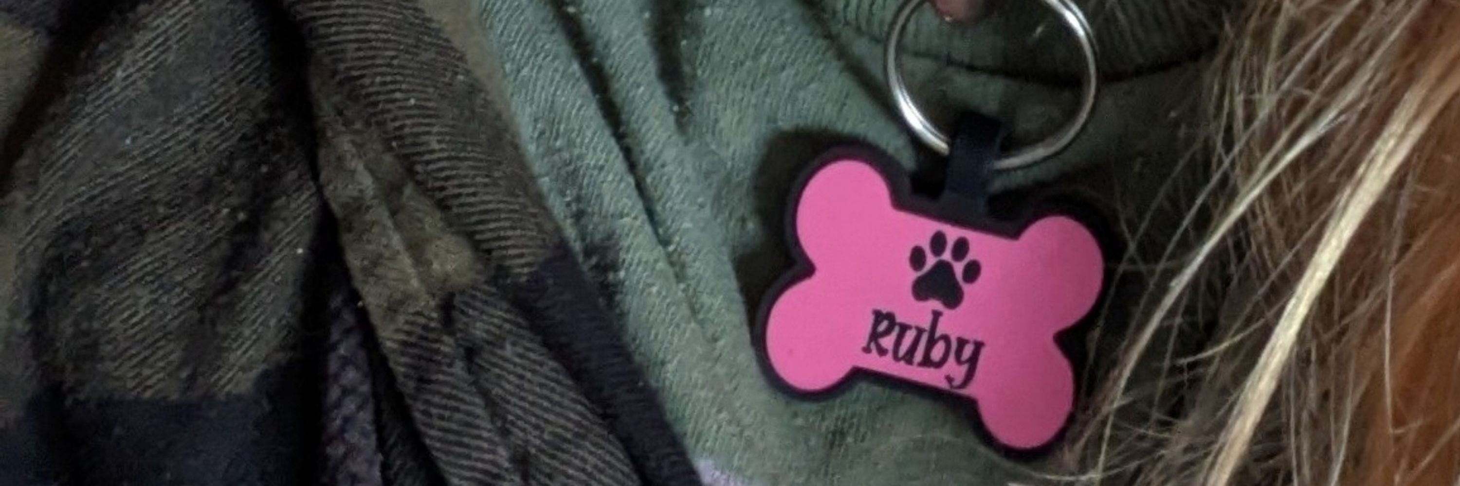 🩷🦴 Ruby 🦴🩷 🔞 (he/it)