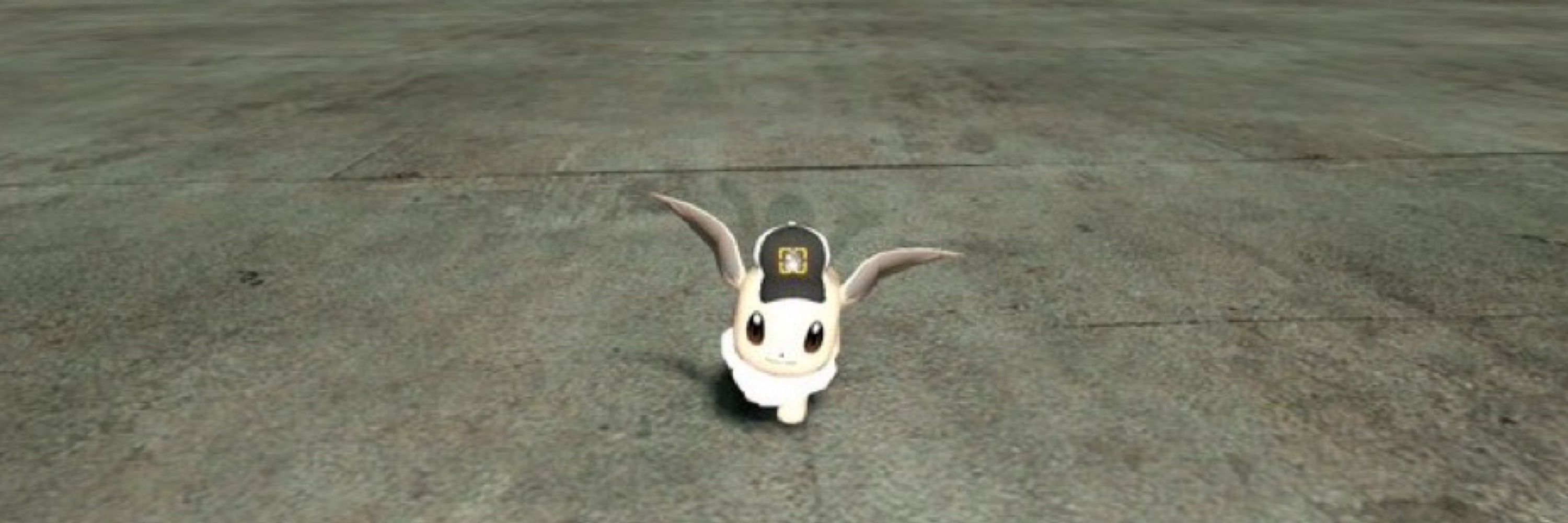 Coin the Eevee
