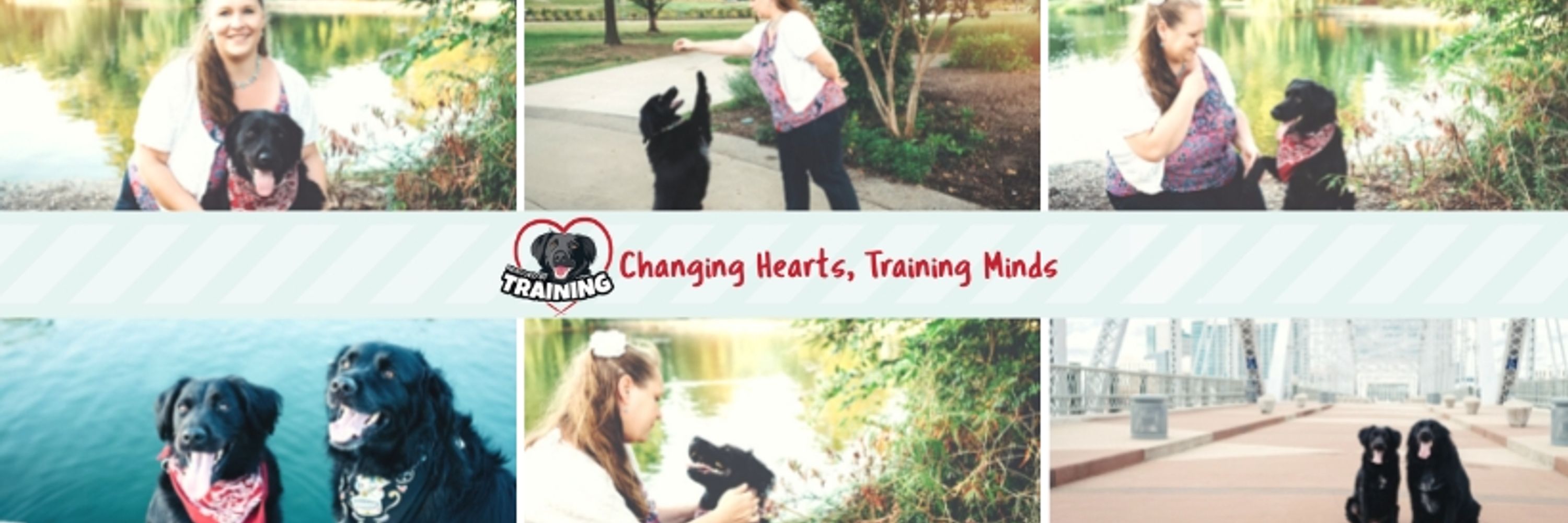 Rescued By Training