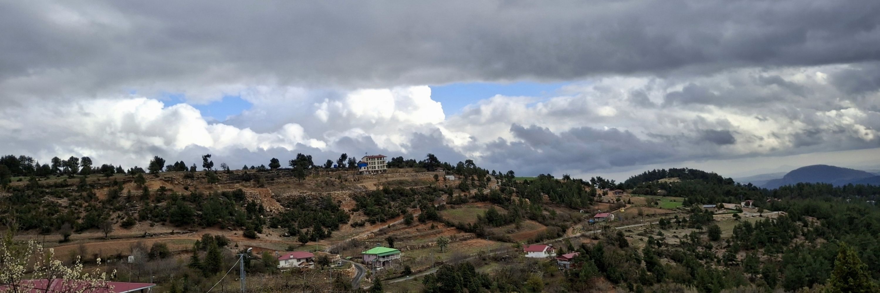 Minerva'nın Baykuşu