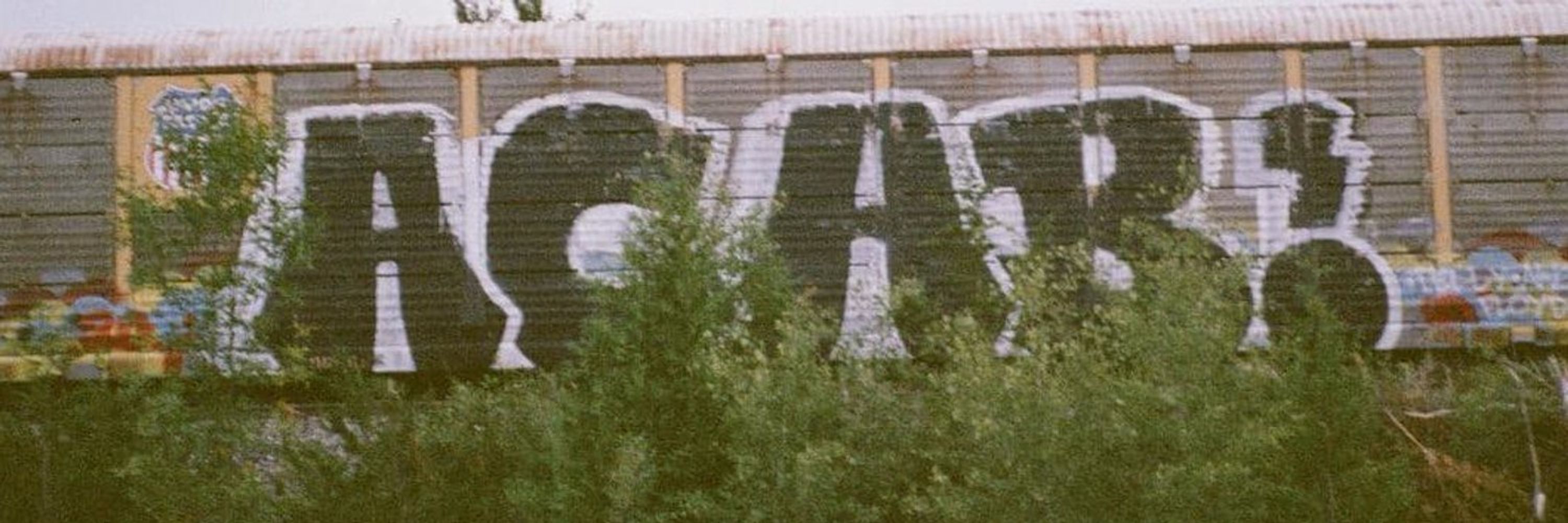 AntifaCatboy