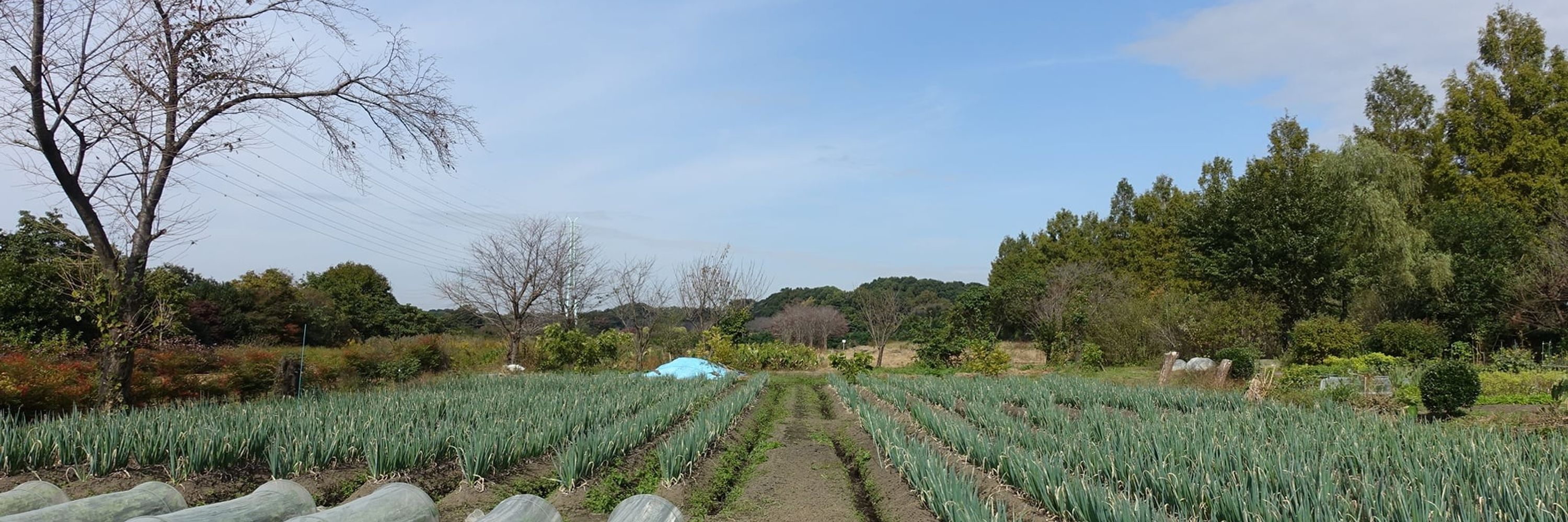 猪瀬浩平　Kohei Inose