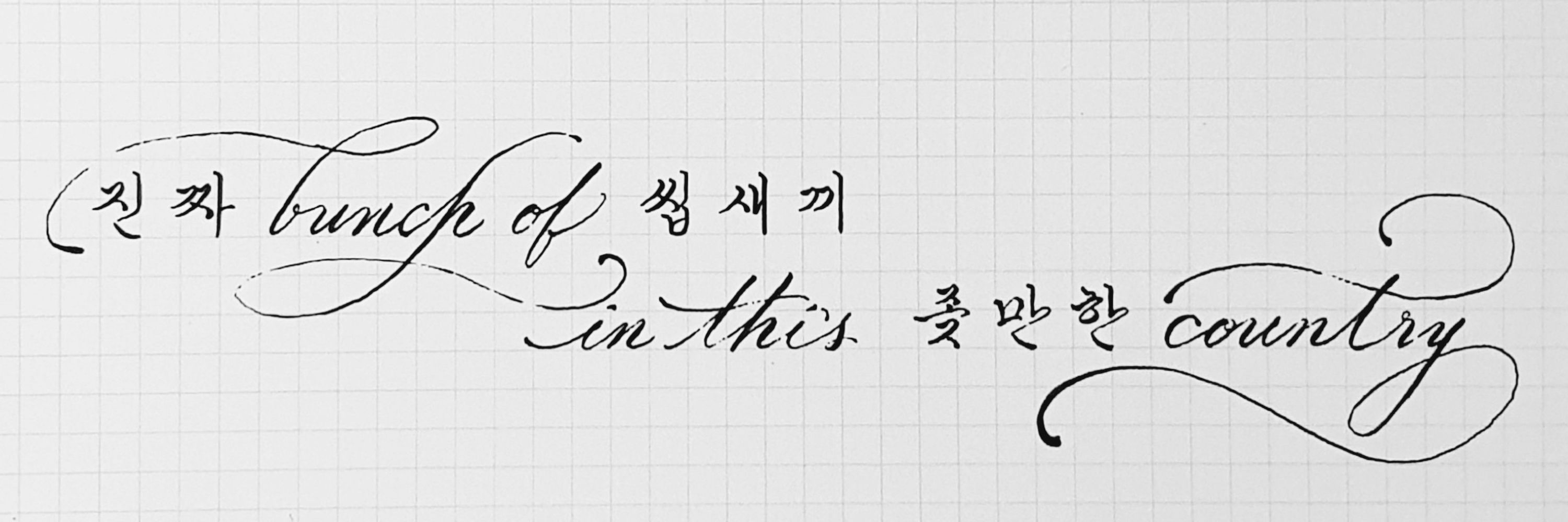 [✨] 부레옥잠