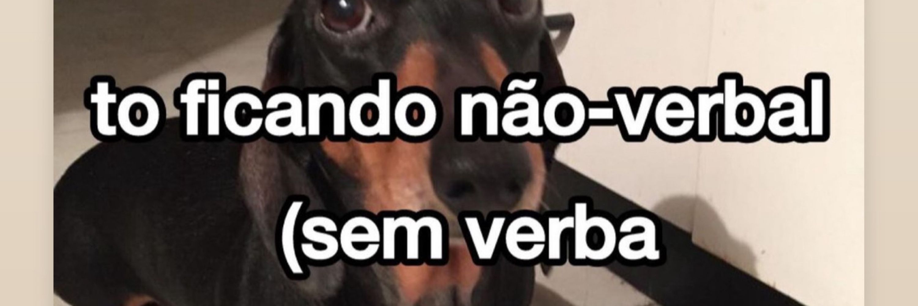 Vitor Xisto