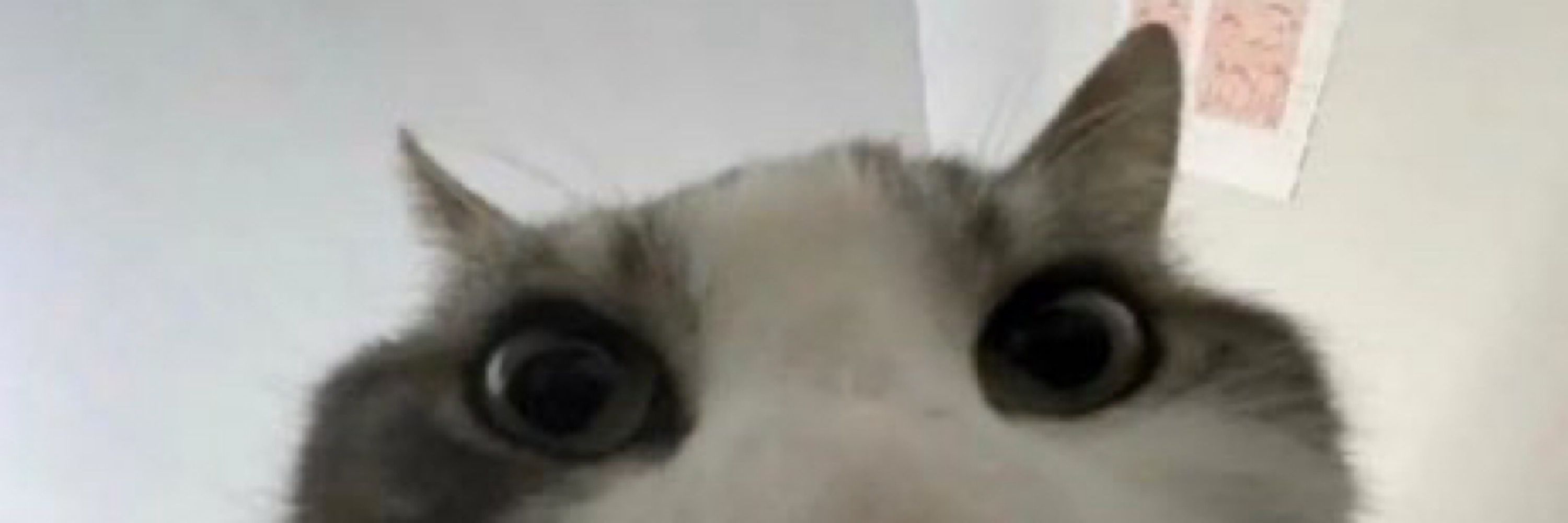 Juni