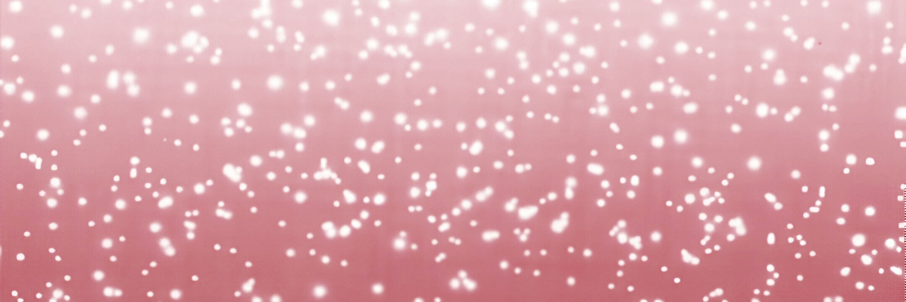 ⸝⸝muted.palette⸝⸝ | Commissions Open!