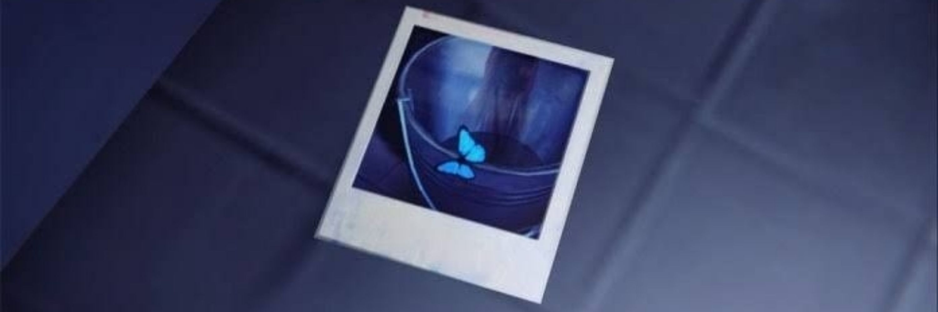 manu 🦋 