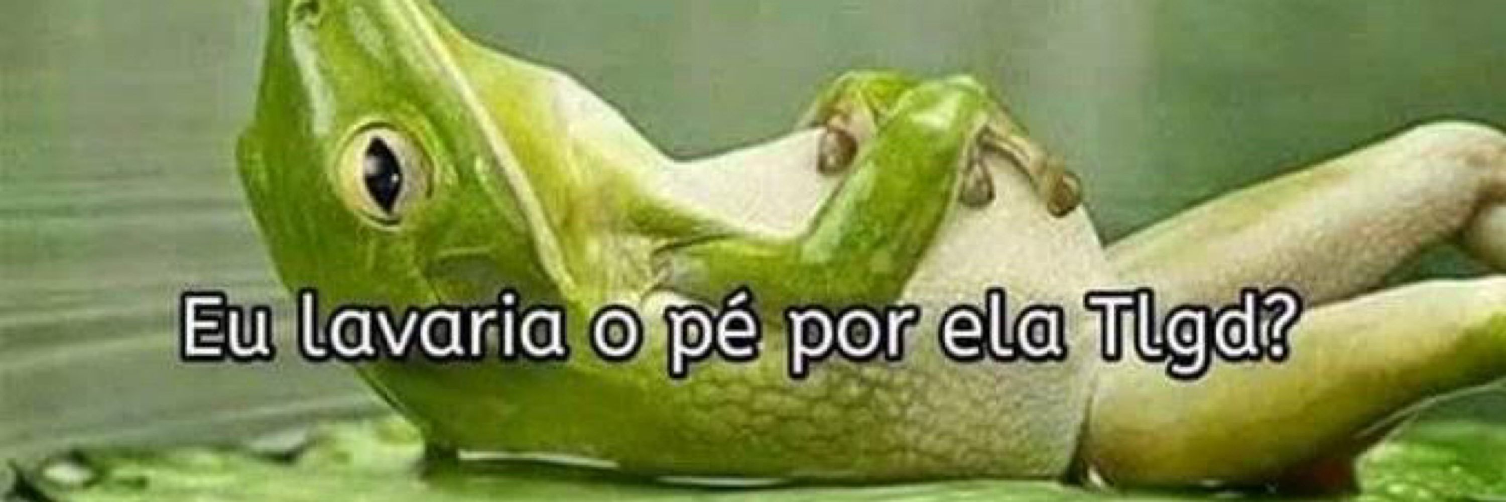 Ímola 🦥
