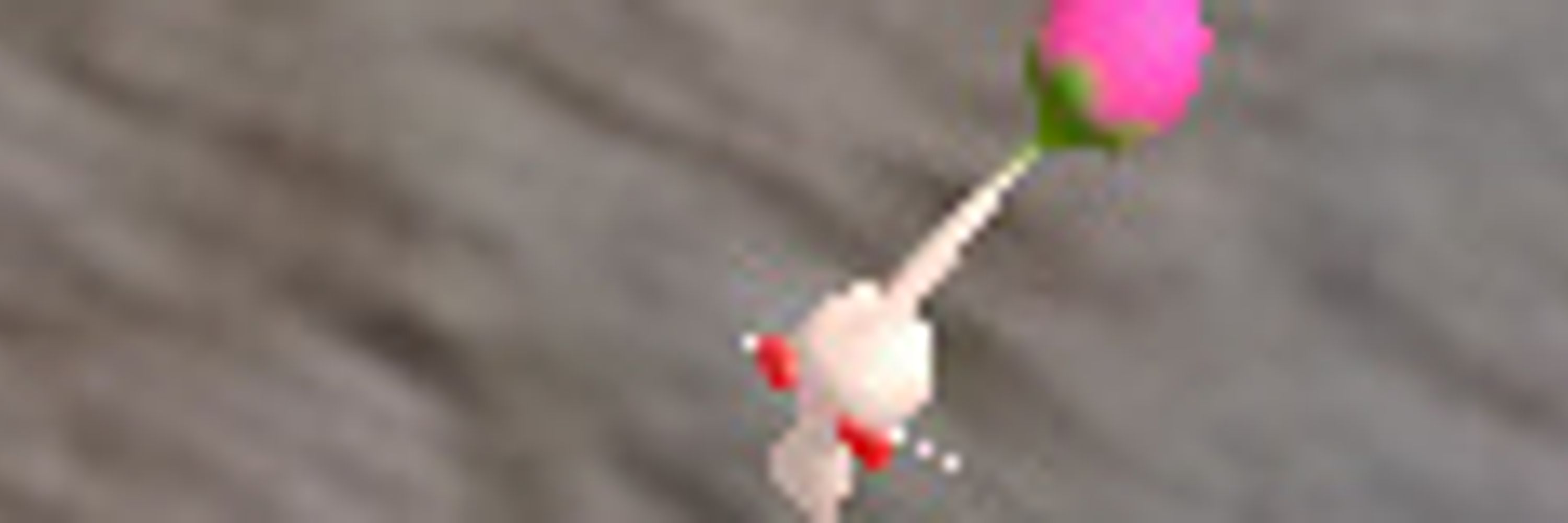 StoneWielder 33